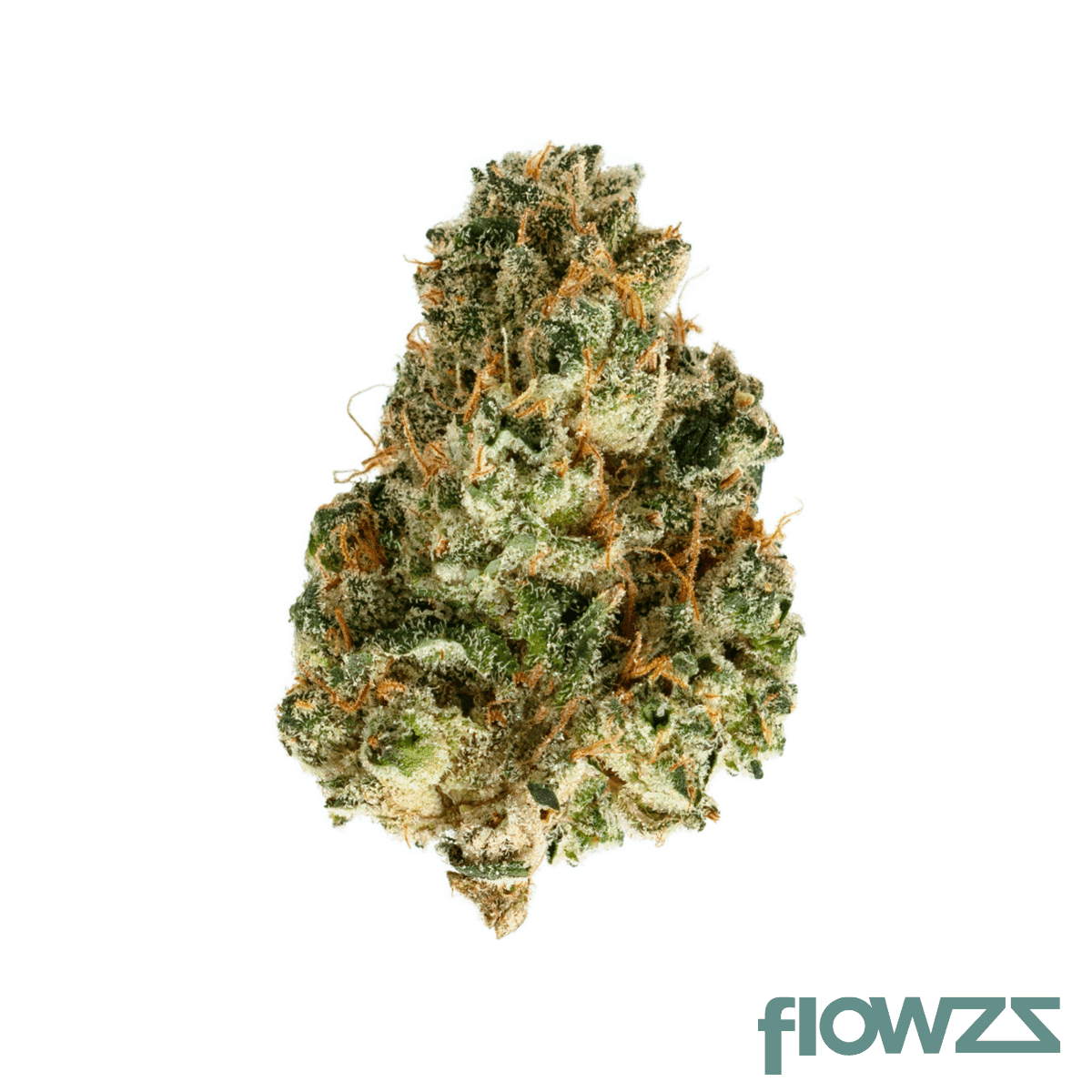 big-dreams-21-1-psf-bcf-berry-cream-puff