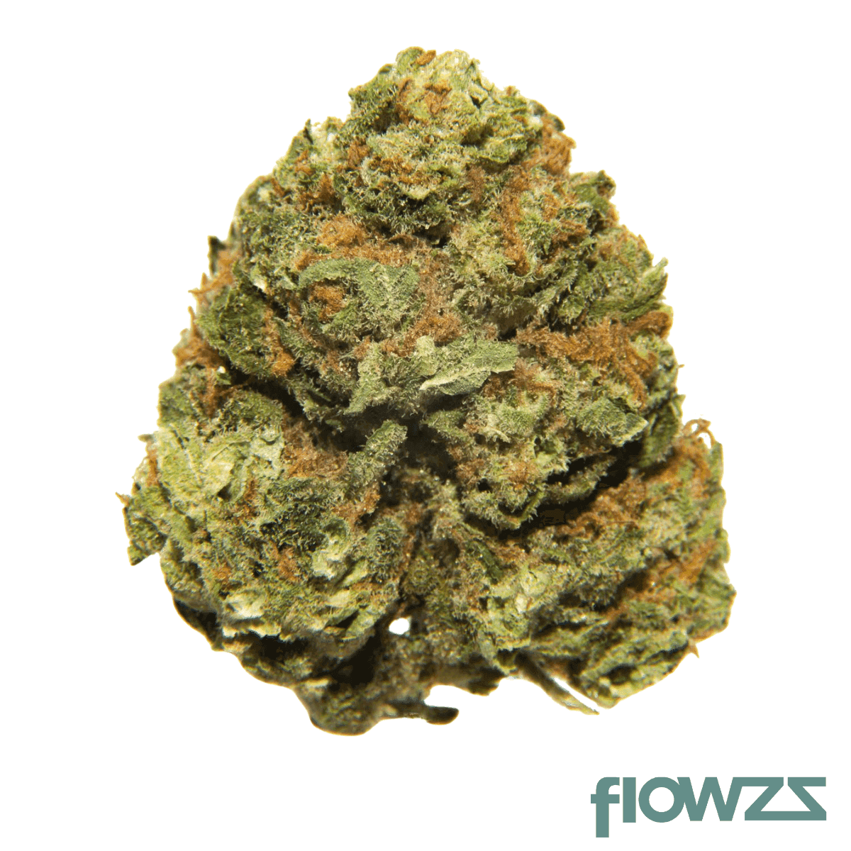 madrecan-21-1-wonder-punch