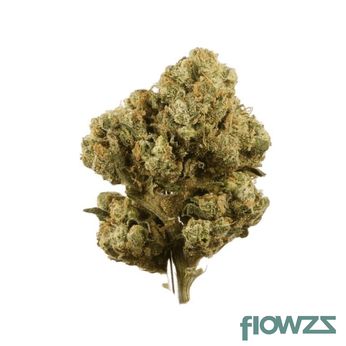 social-choice-24-1-ics-die-diesel