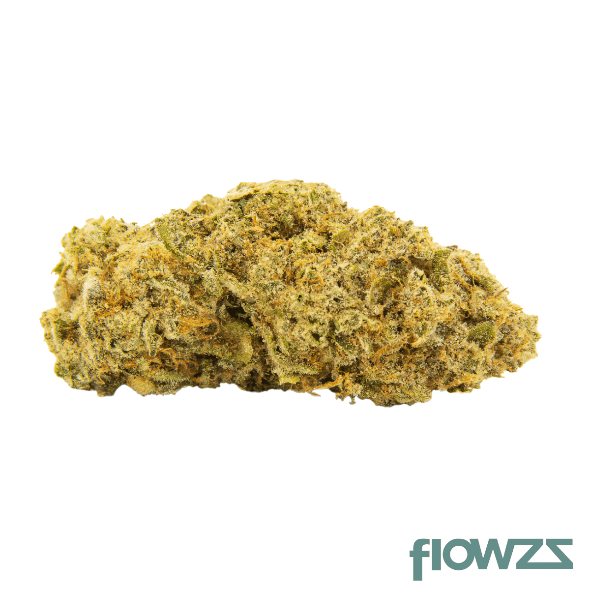 28-1-amici-isw-indigo-swan