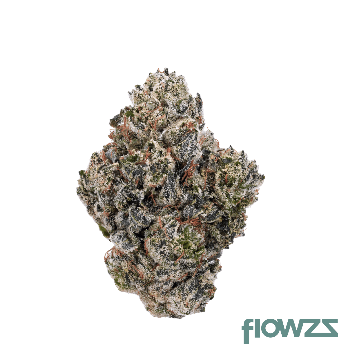 remexian-24-1-gcc-bbg-gg4-blueberry