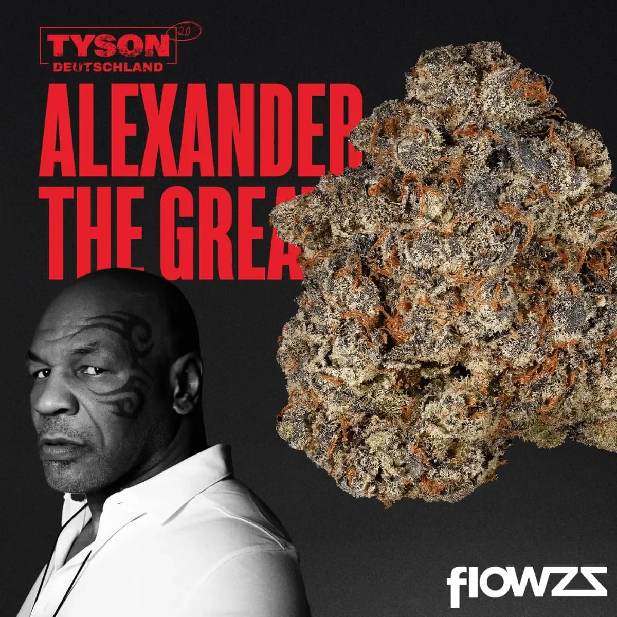 tyson-28-1-alexander-the-great