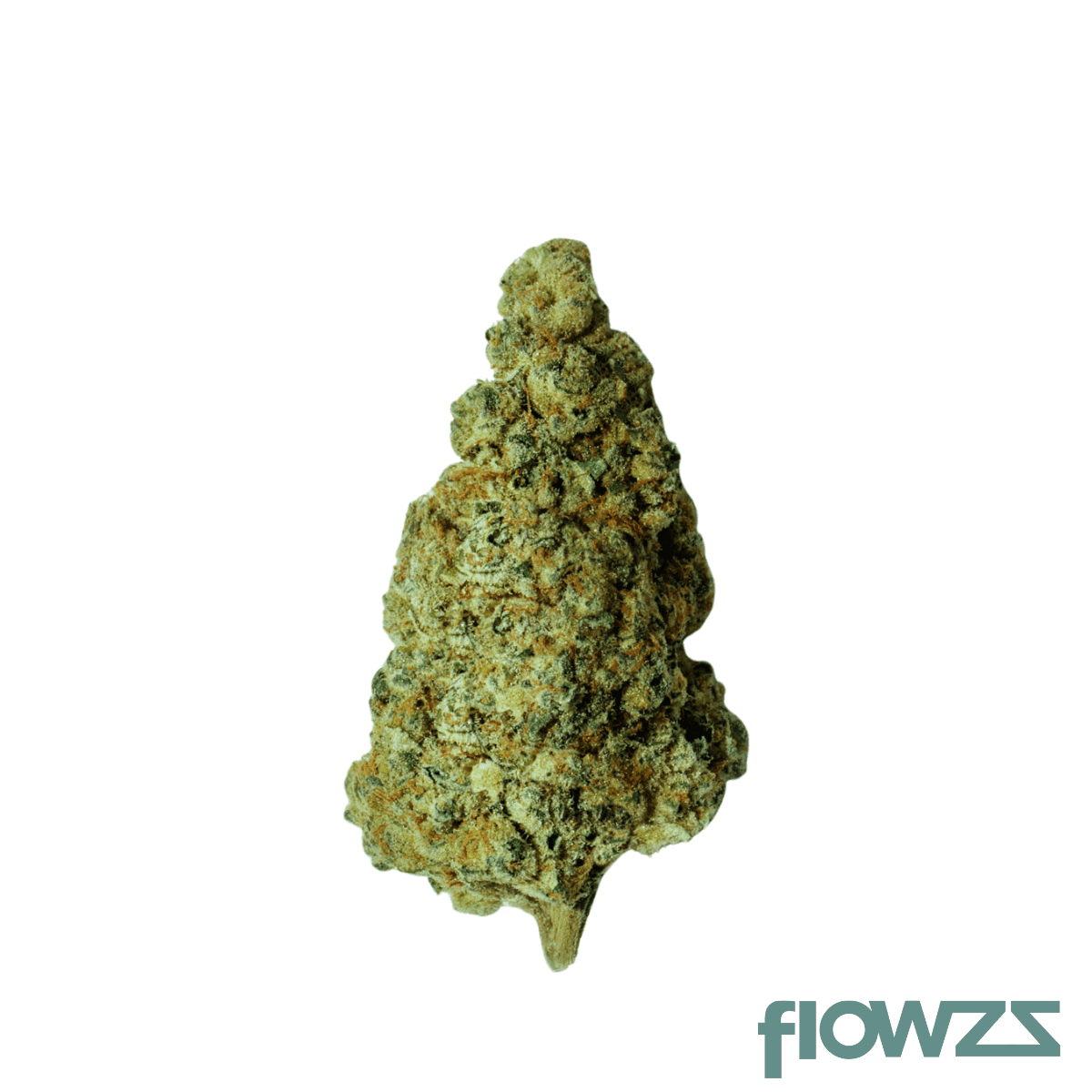 enua-22-1-ba-ca-busy-animal