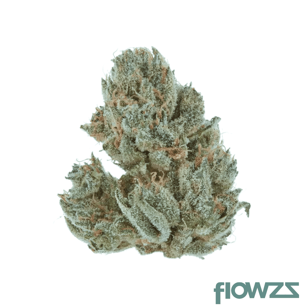 Mountain-Kush-strain