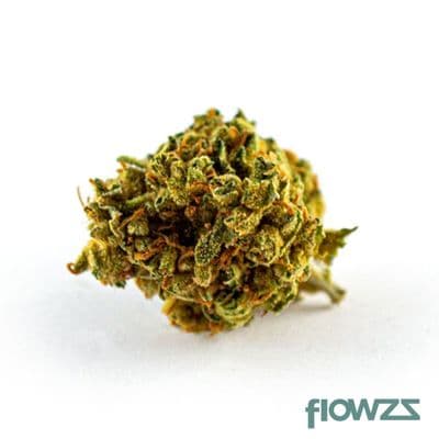 tilray-thc25-craft-jean-guy-bienville