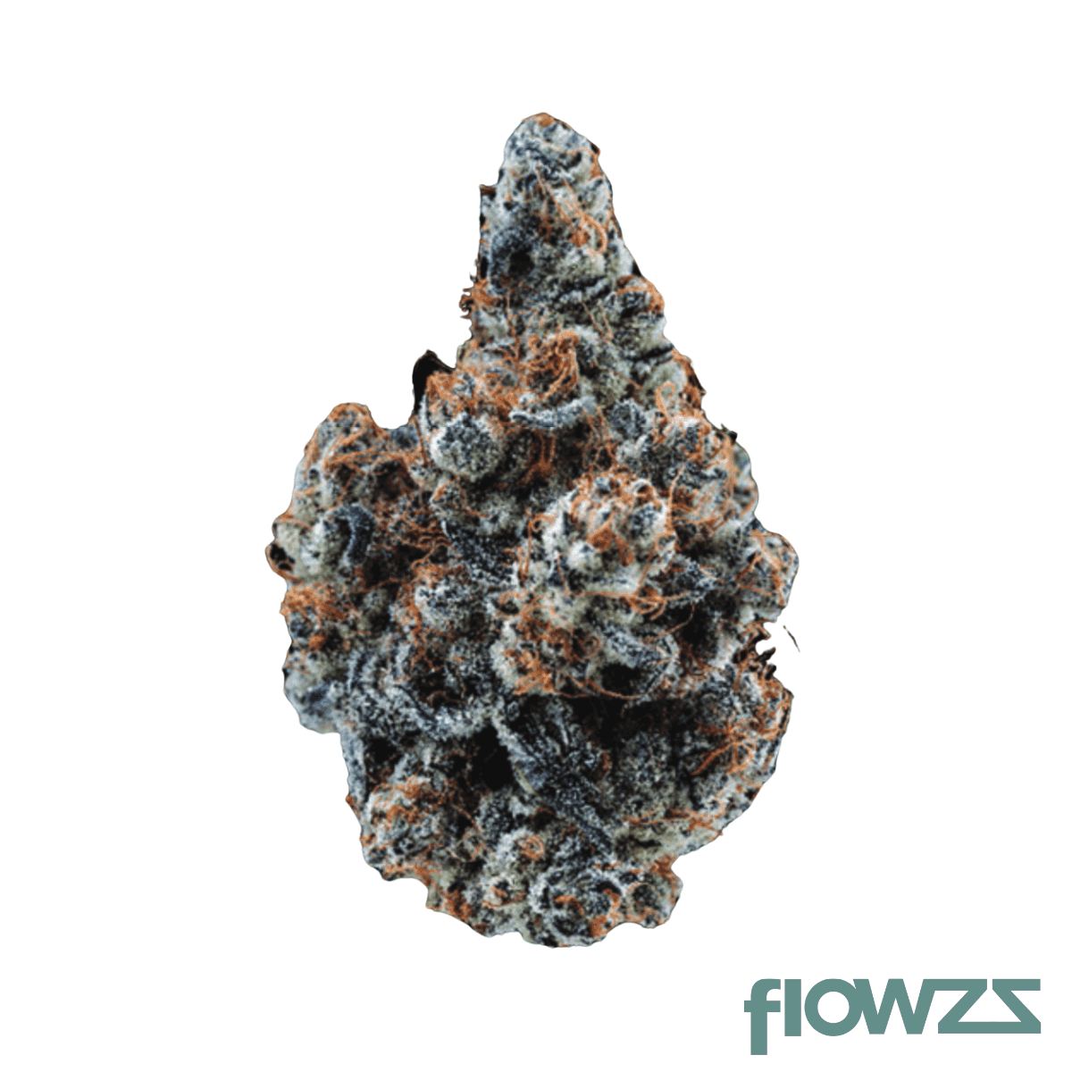 citizen-labs-cr-32-1-cali-rain