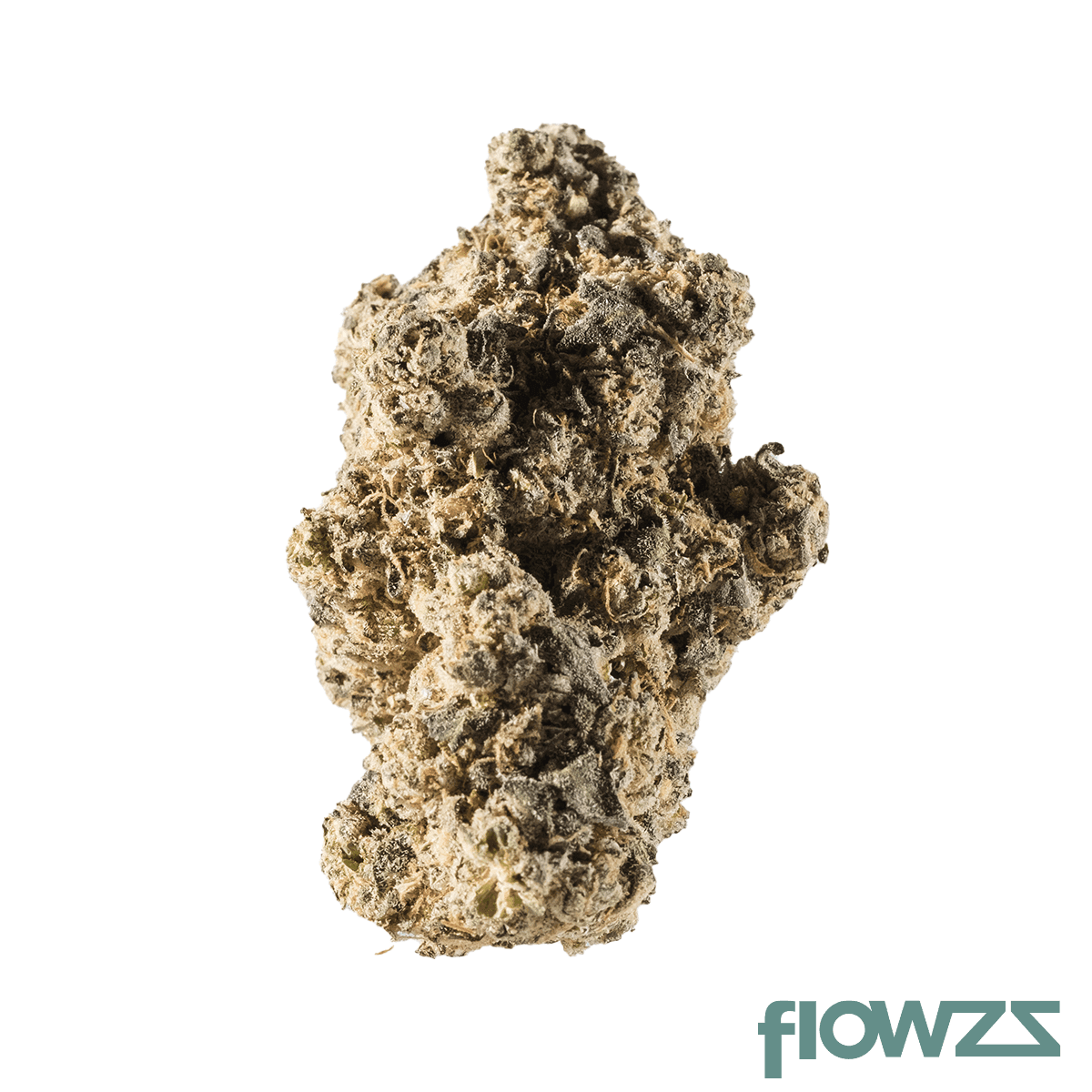 avaay-signature-29-1-cbx-chatterbox