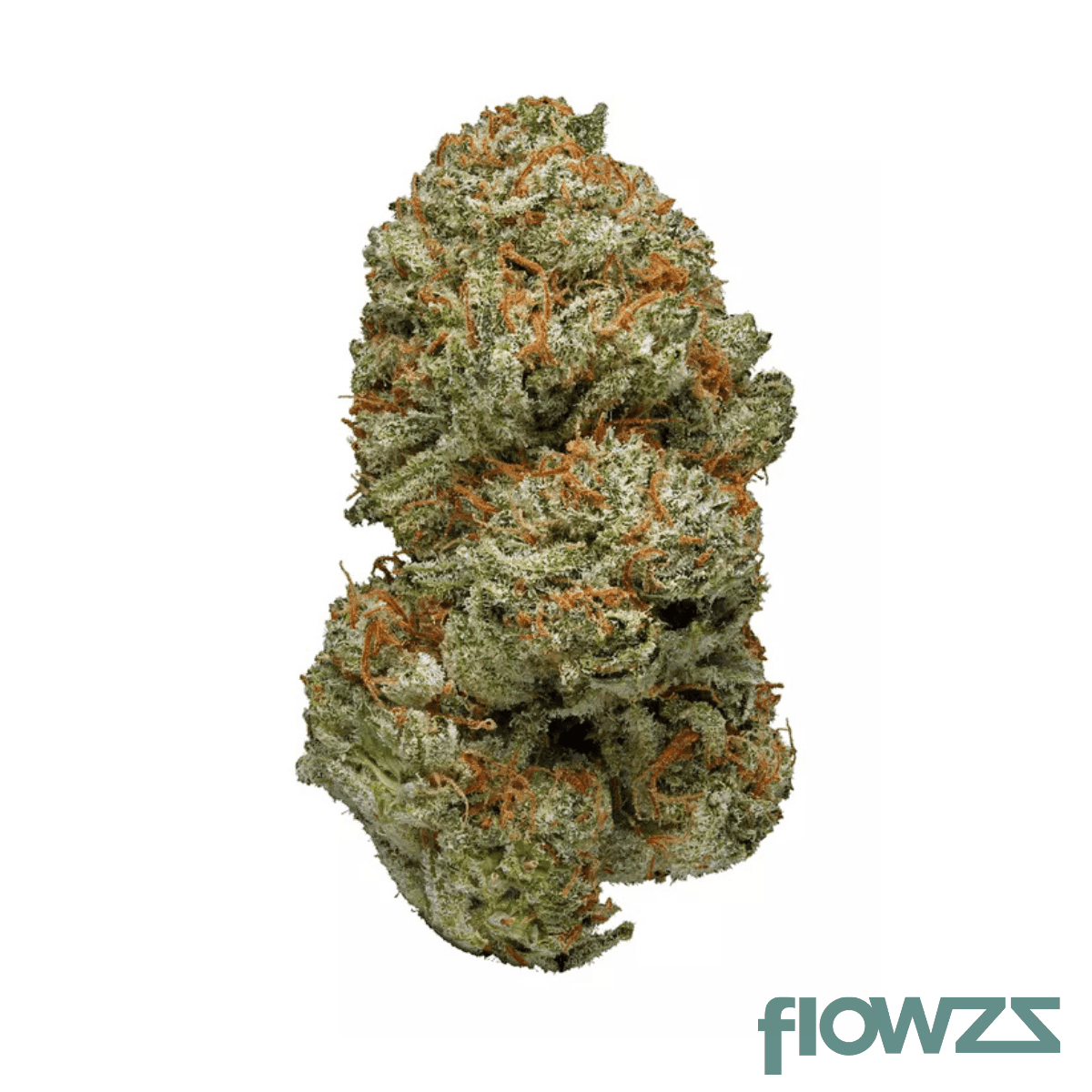 imc-thc25-e6-gorilla-queen