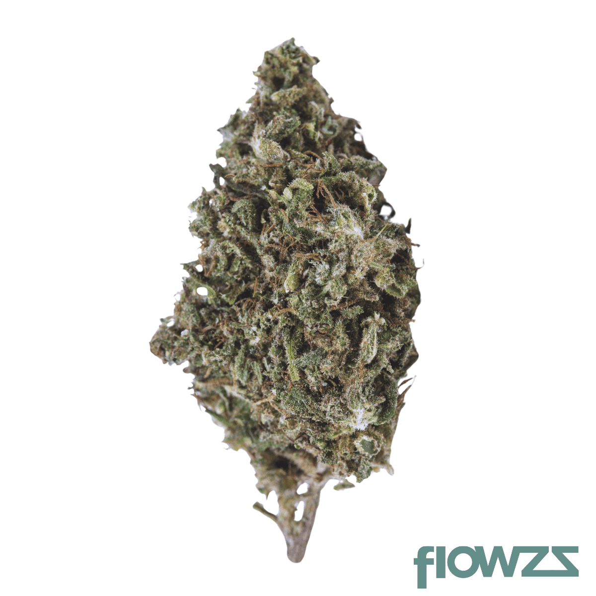 big-dreams-21-1-psf-pko