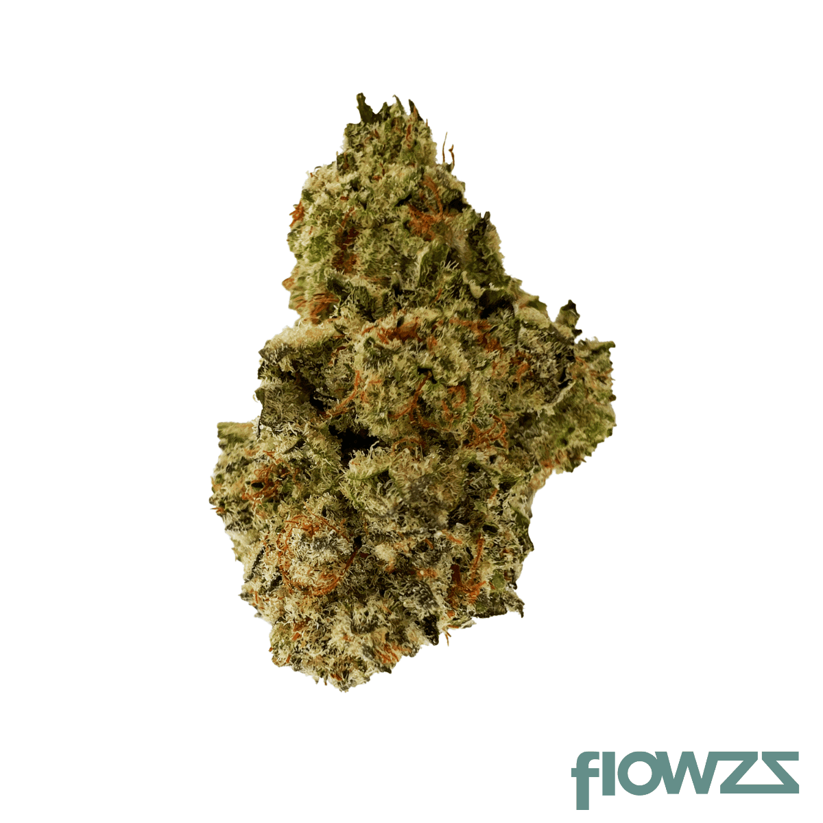 sibanax-crescendo-cookies-19-1