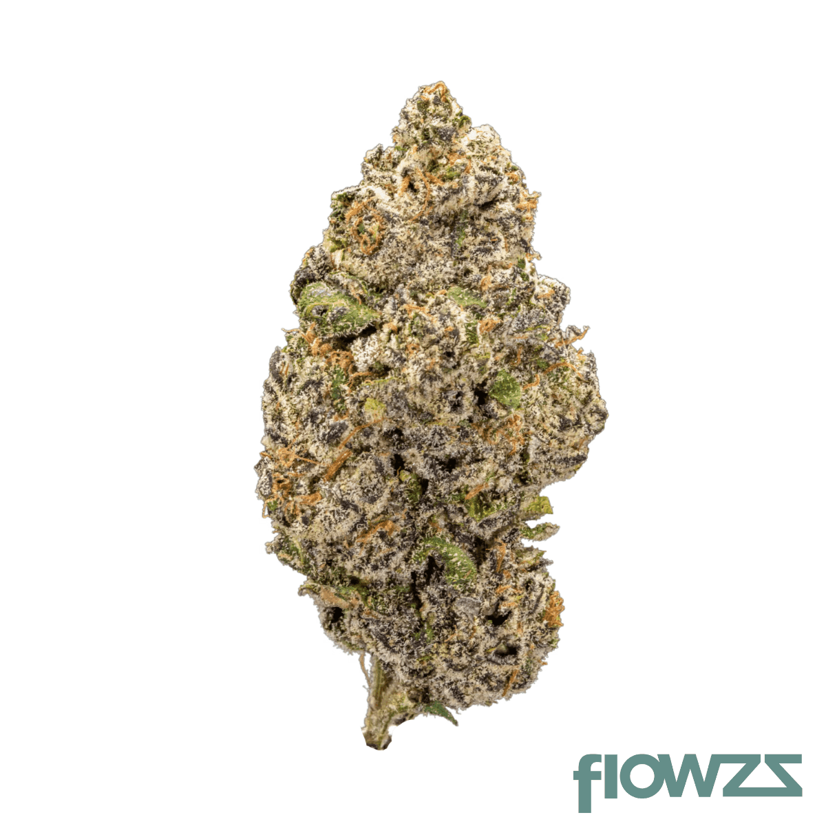 gm-colour-of-space-26-01-apple-frtitter-purple-punch