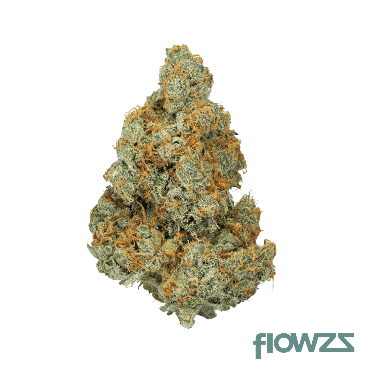 cnbs-ocm-23-1-orange-cookies-mac