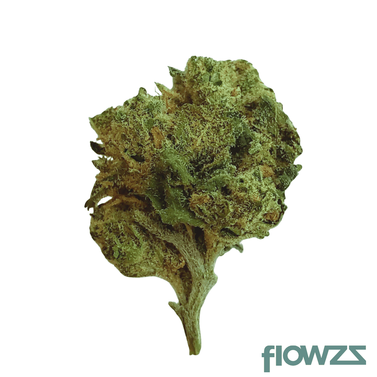 demecan-cv-regular-drop-25-1-moby-dick