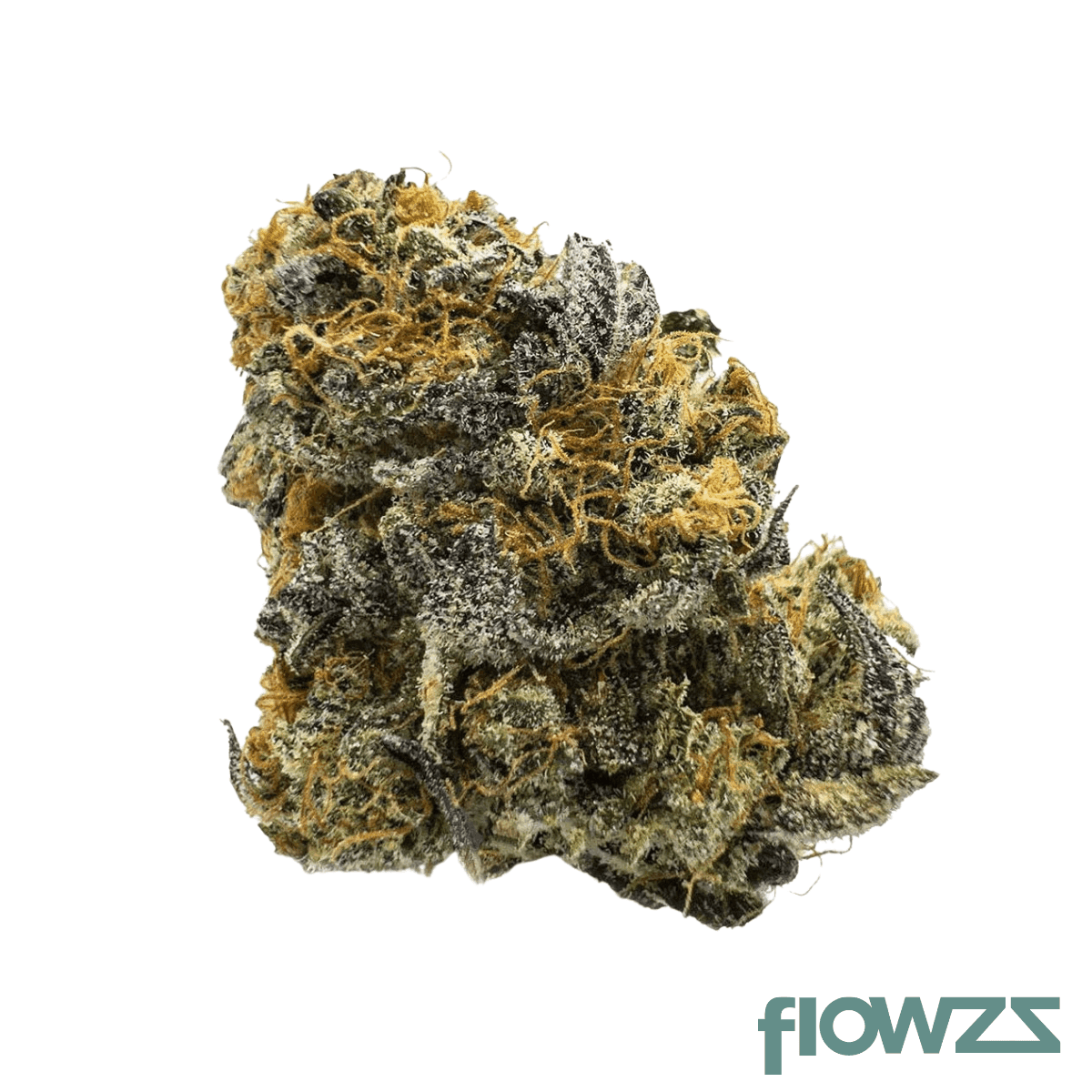 barongo-24-1-cg-caviar-gold