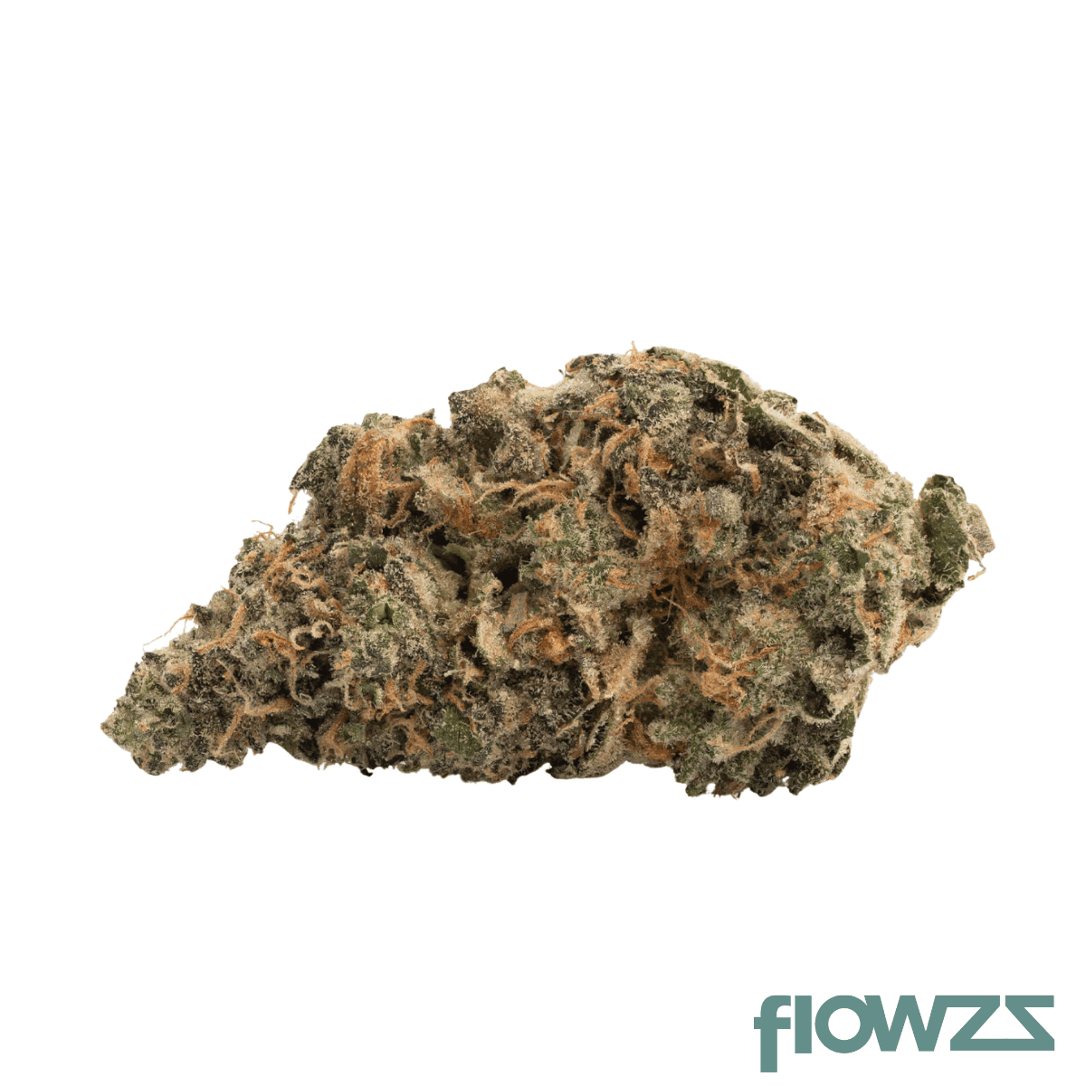 nimbus-easy-26-1-appalachian-trail