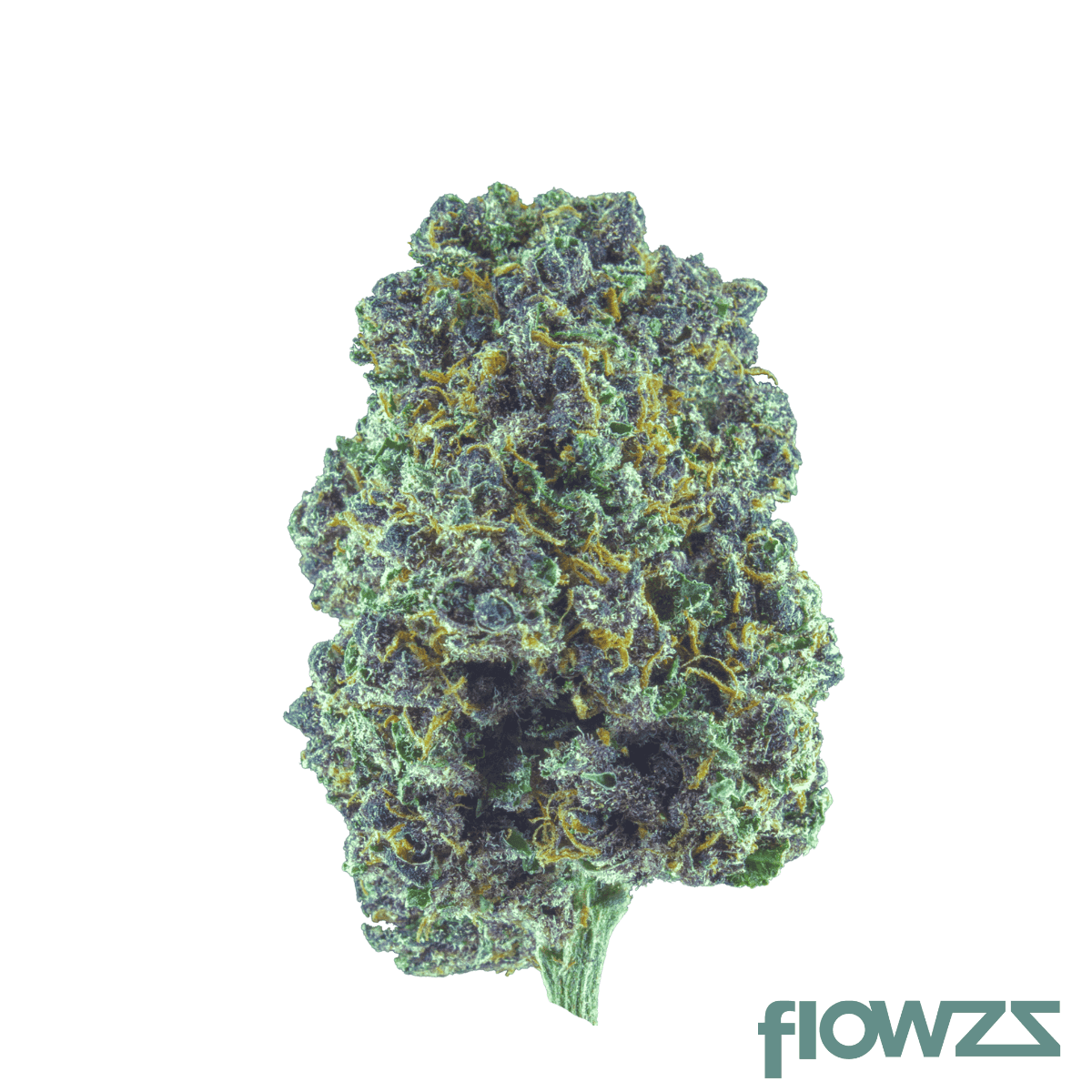 bava-med-26-1-pla-og-platinum-og