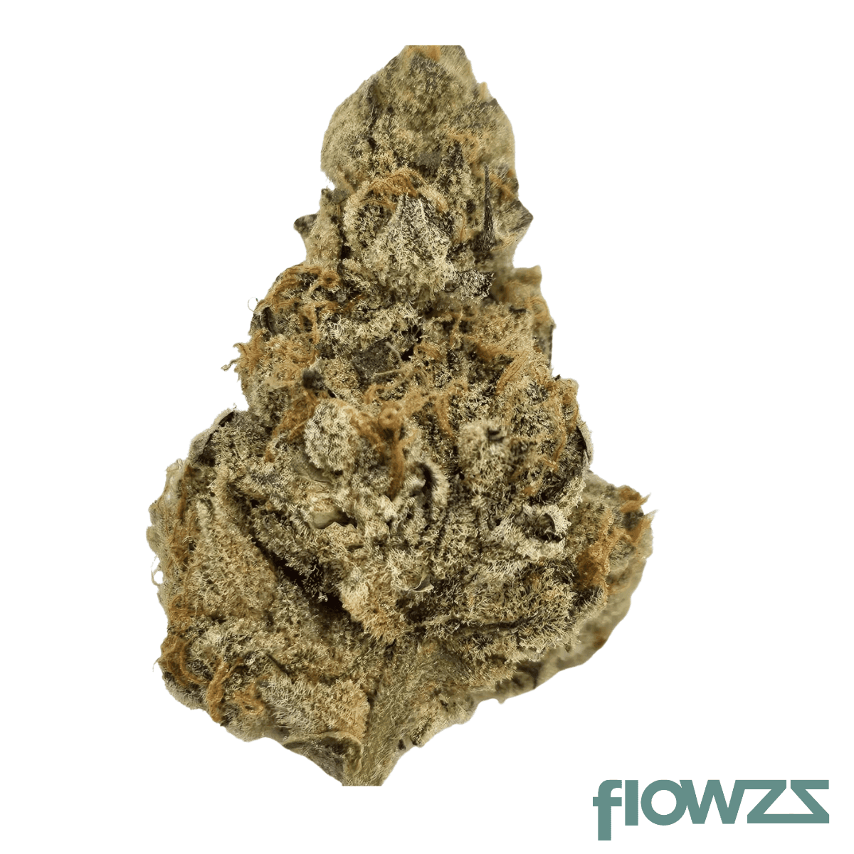 sumo-canada-craft-no3-23-1-garlic-chem