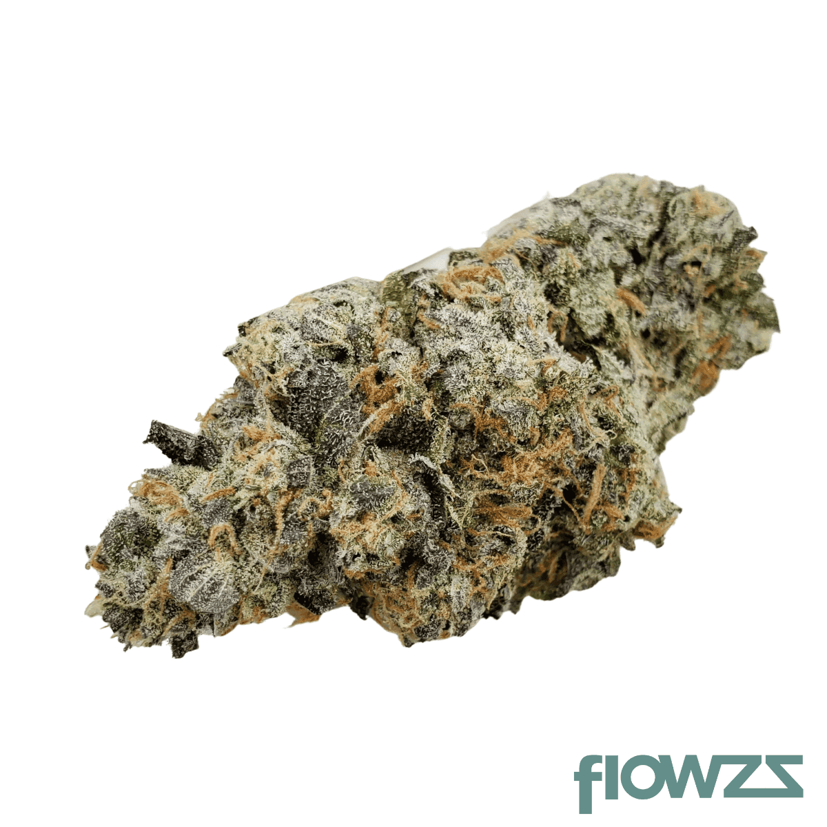 mother-26-ctbx-chatterbox