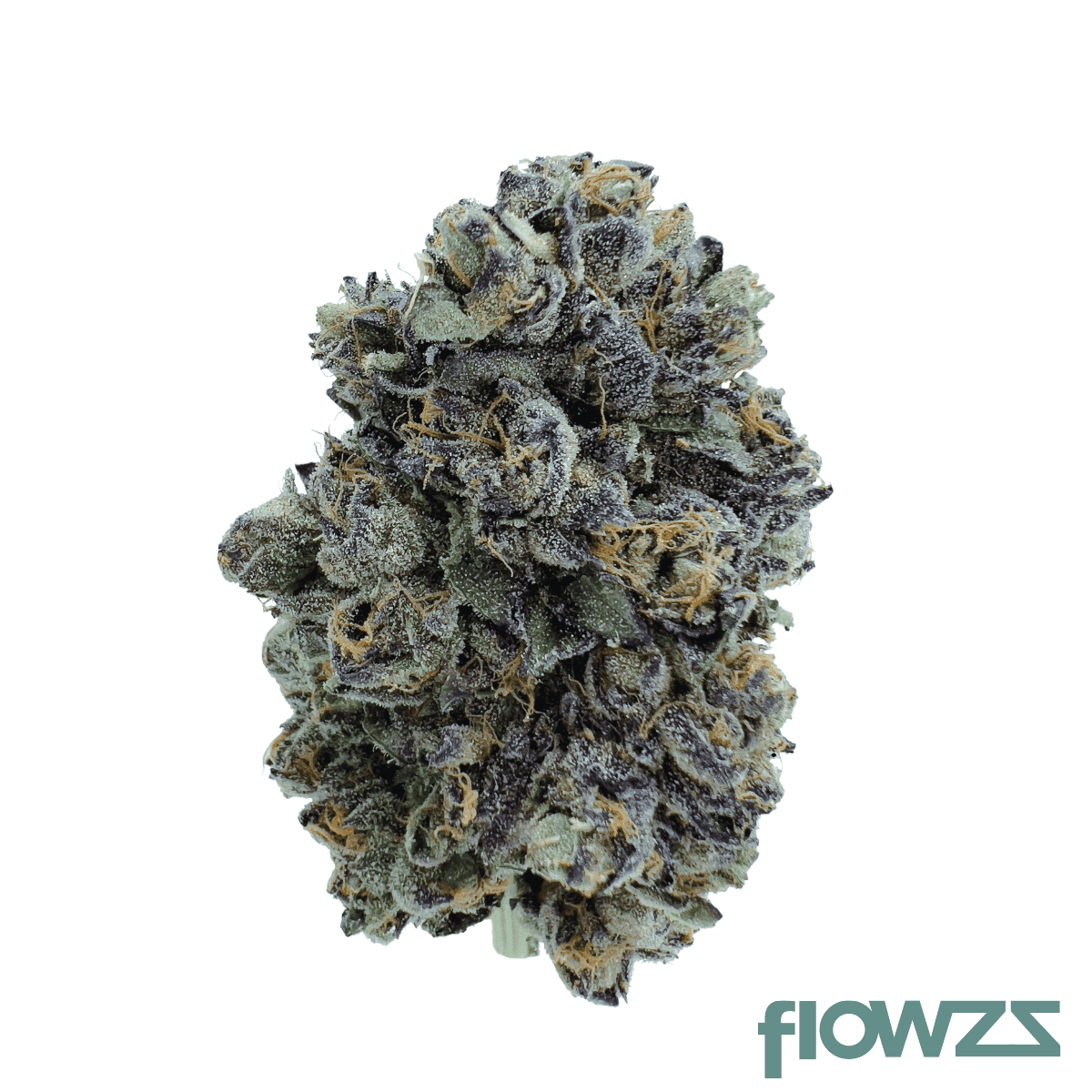 bavamed-21-1-original-blitz