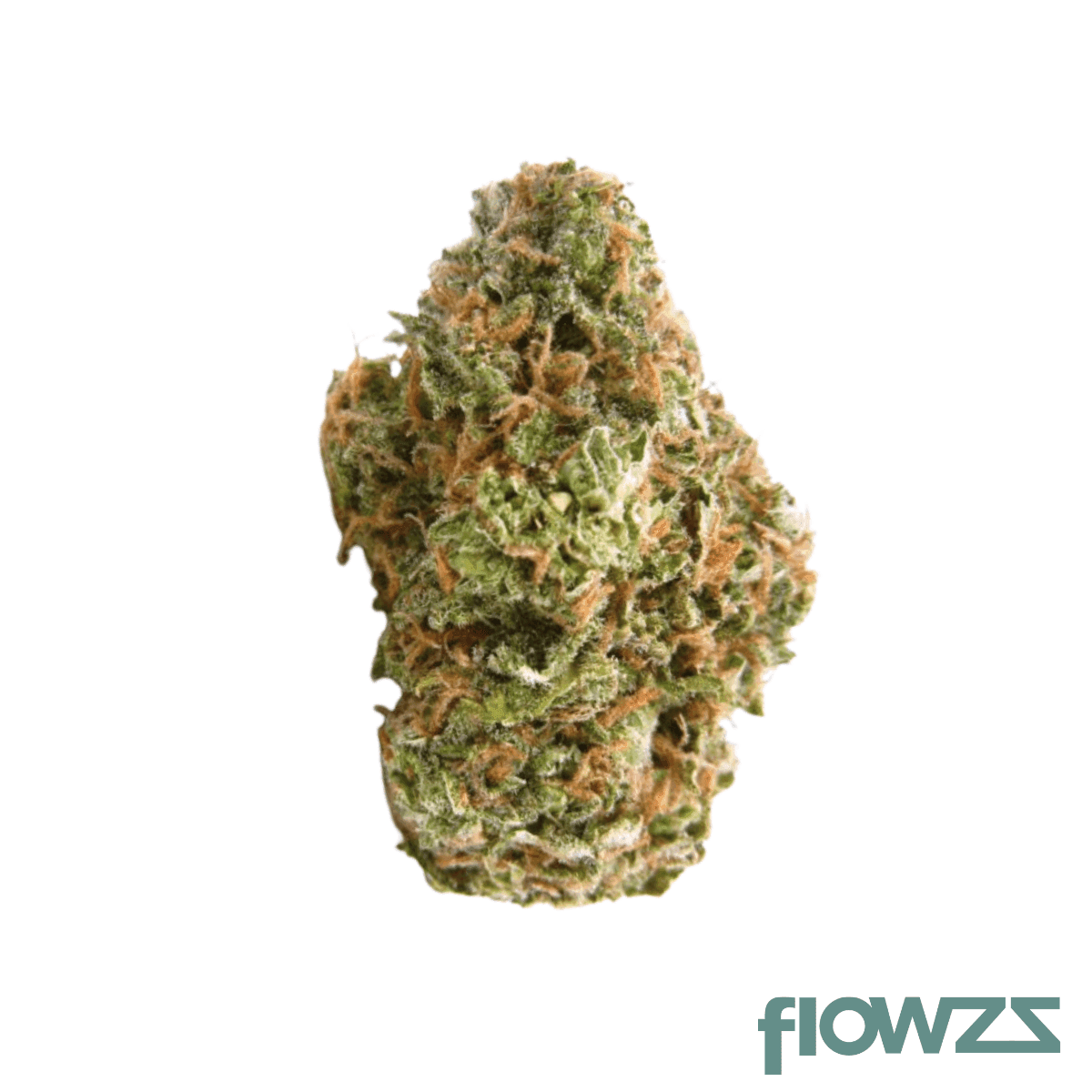 remexian-30-1-oasis-og