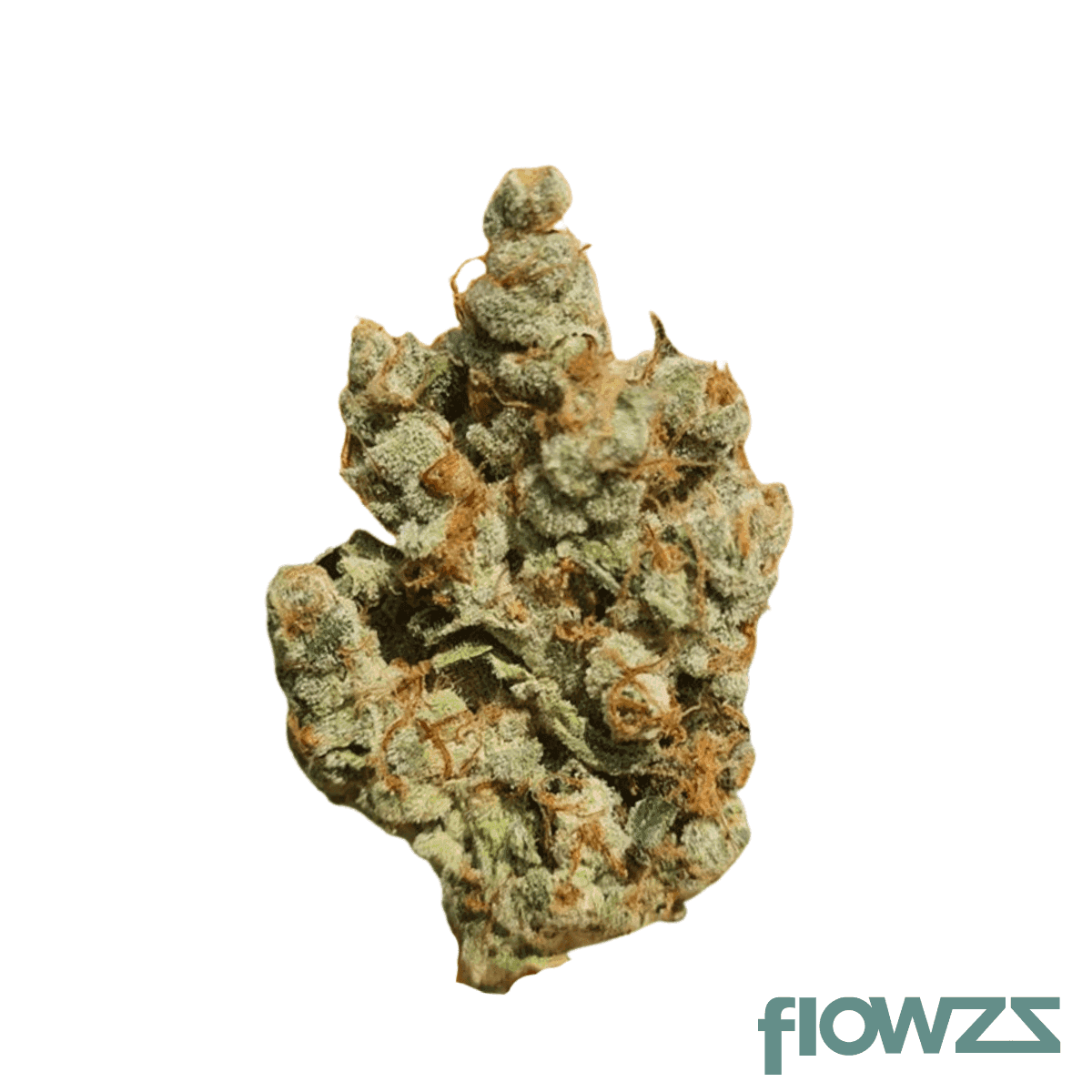 cannamedical-sativa-classic-venomz-eve