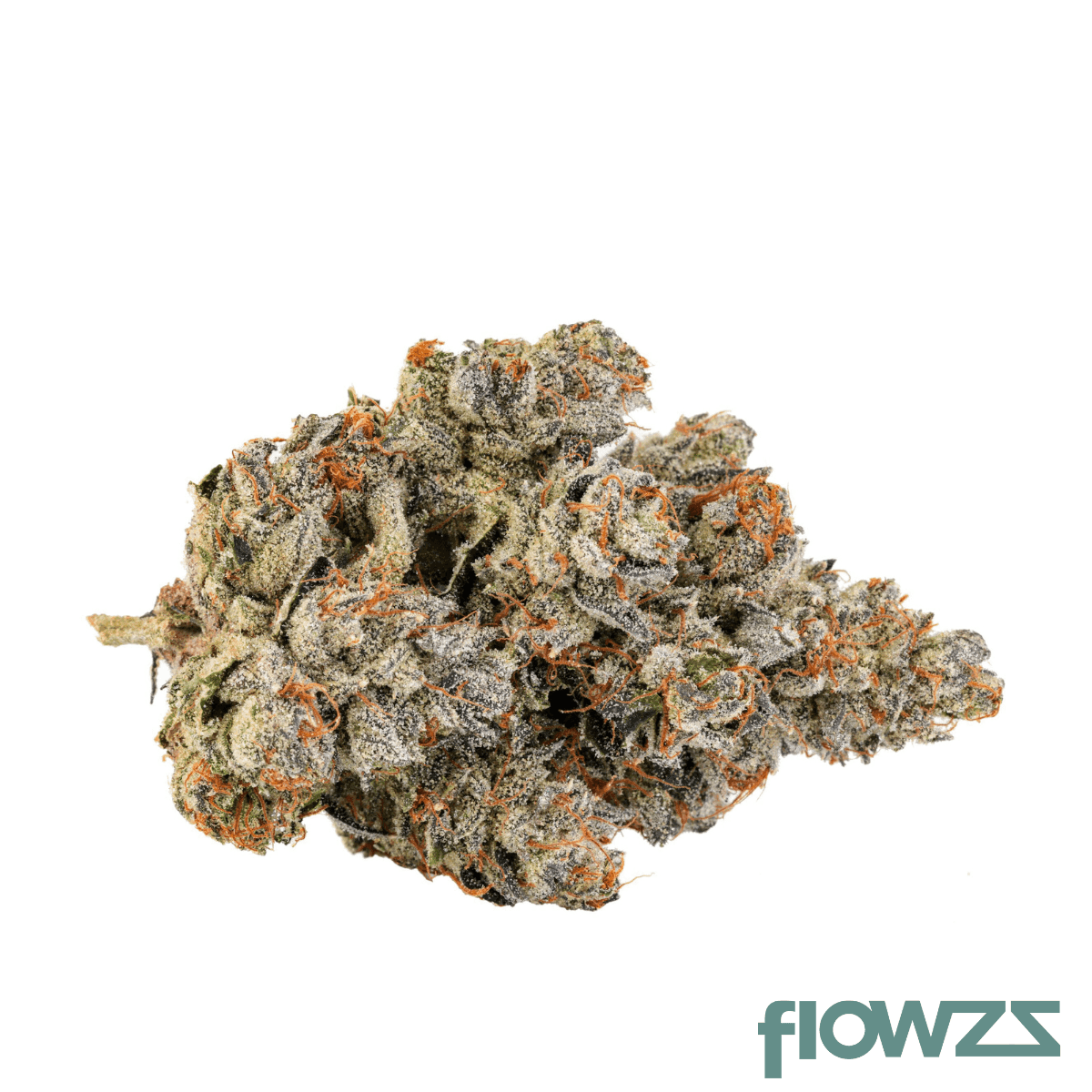 31-1-amici-hs-high-society