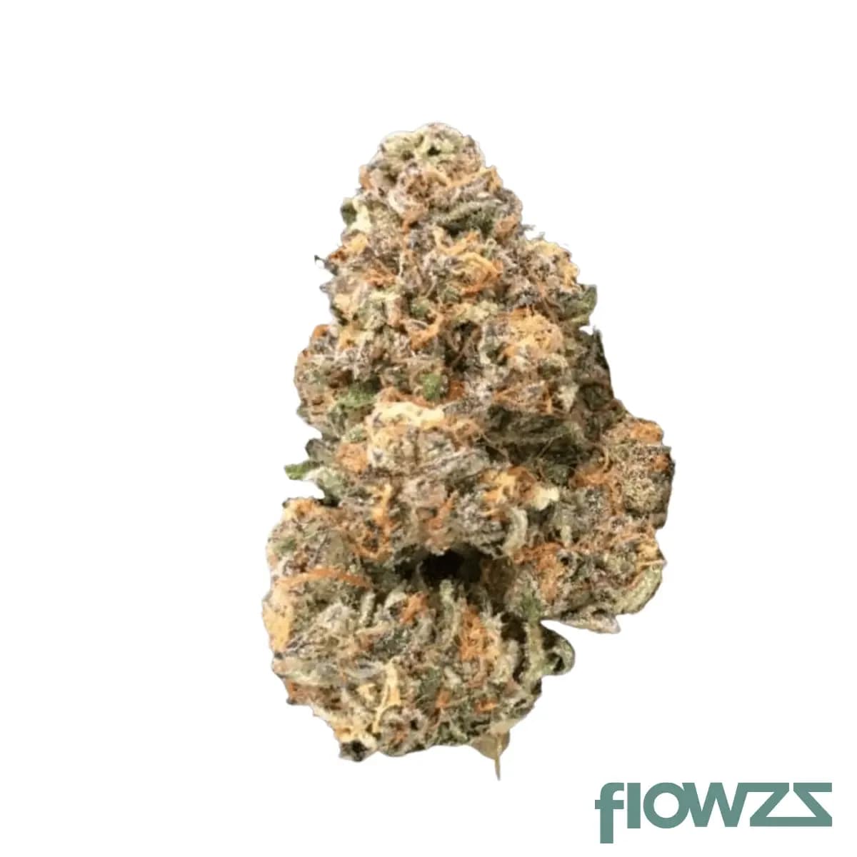 sibanax-the-new-18-1