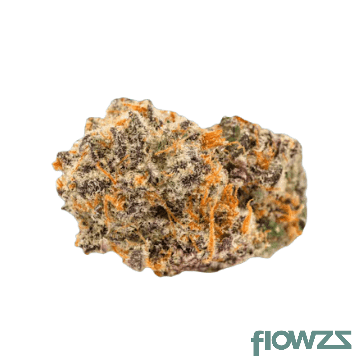 remexian-30-1-civ-bob-booberry-cookies