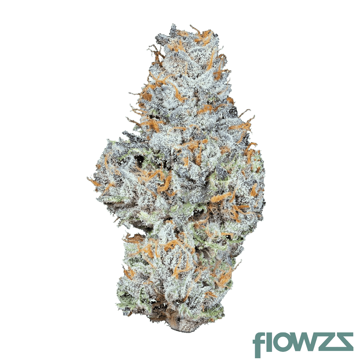 imc-gl41-thc20-gelato-41