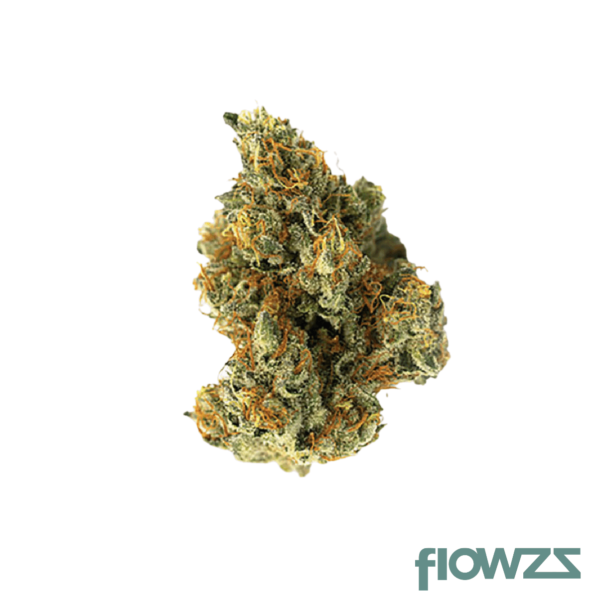 bavamed-25-1-berry-blitz