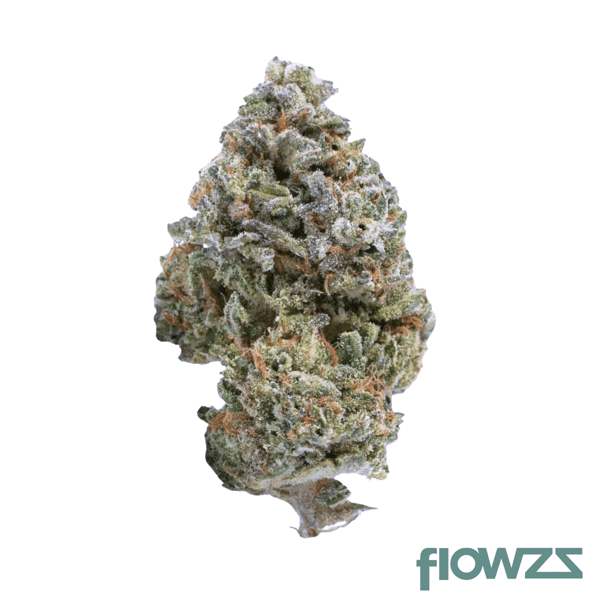 canify-24-1-ls-white-lemon