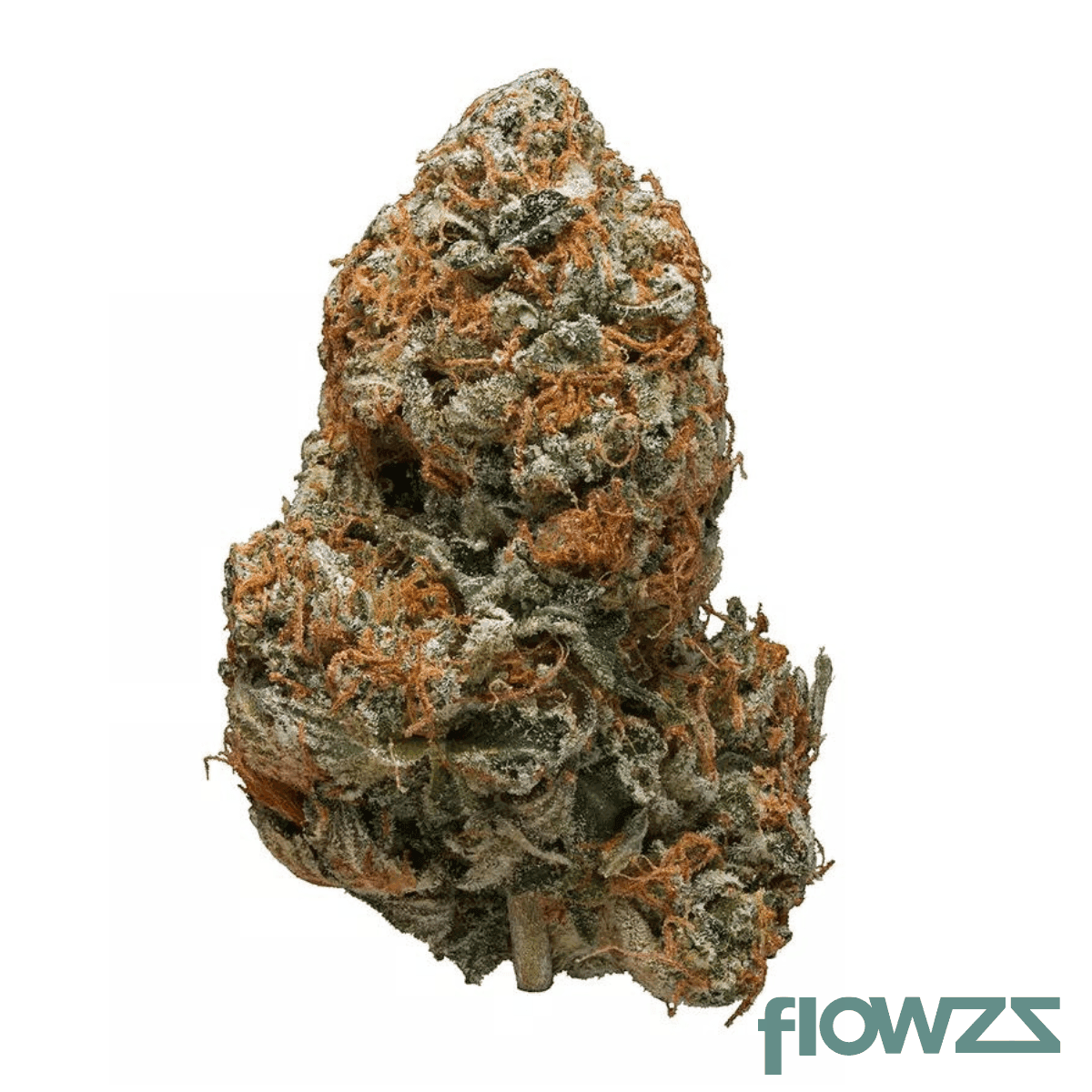 tilray-thc18-spotlight-porto-black-tuna