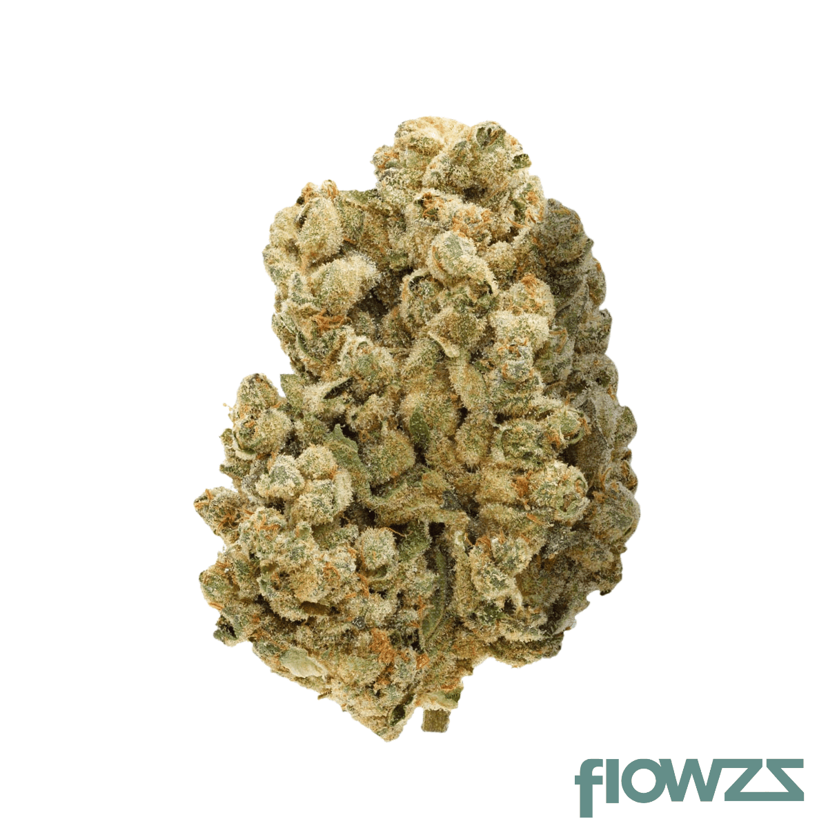 buuo-26-1-vitae-hot-white-garlic