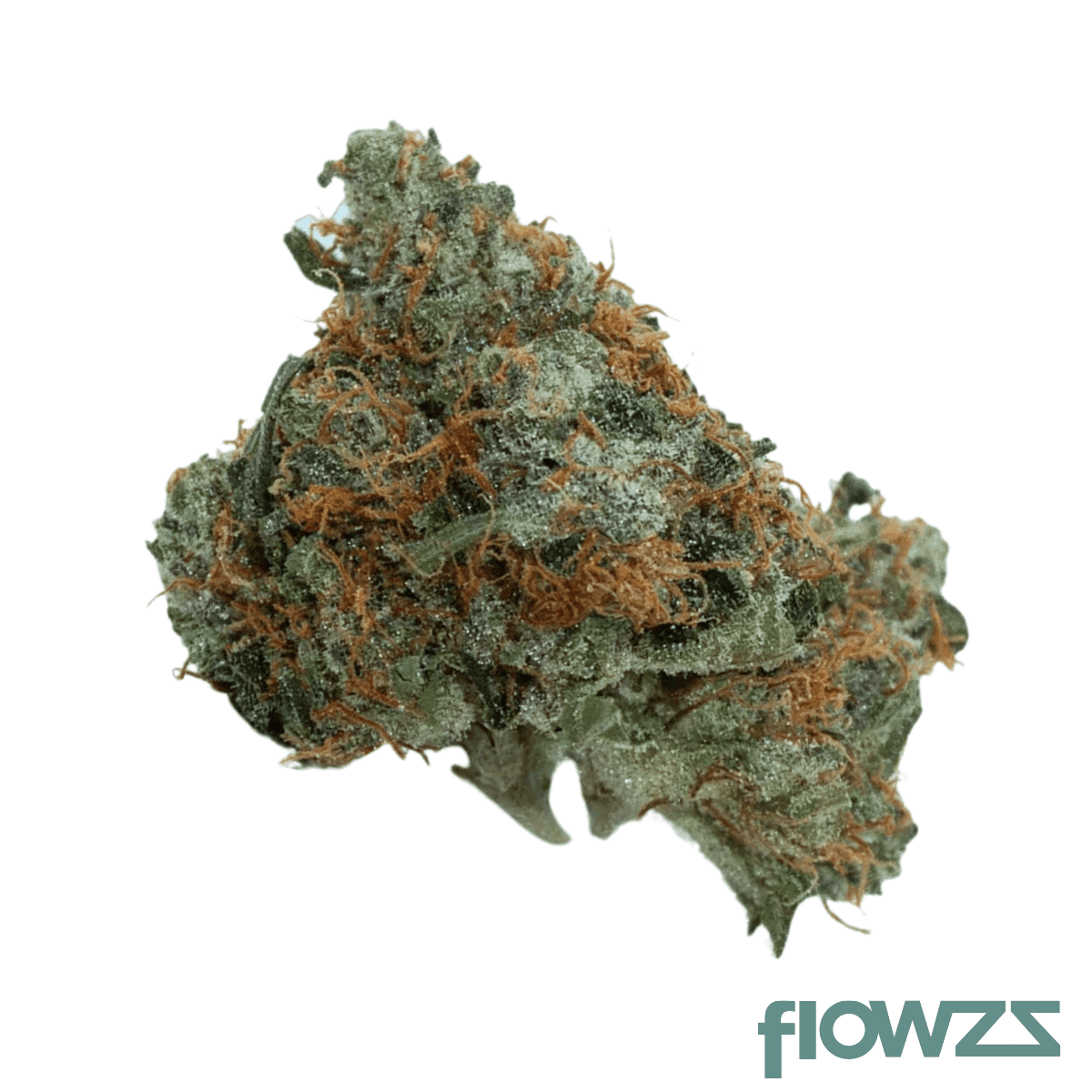 bavamed-21-1-zesty-punch