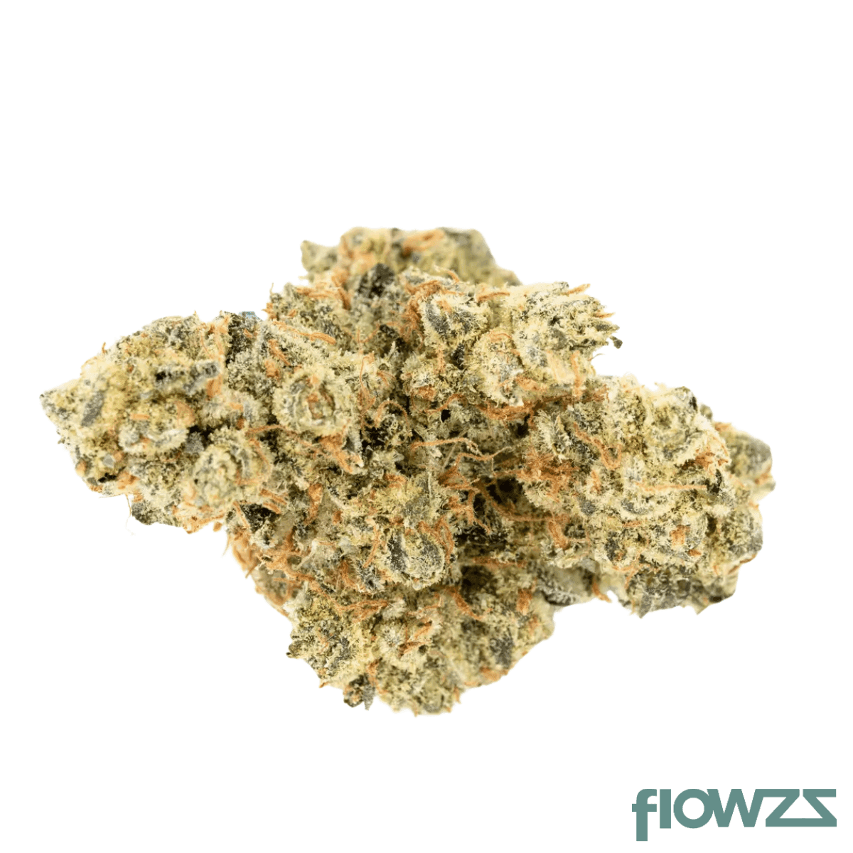 enua 20/1 BA CA Busy Animal 