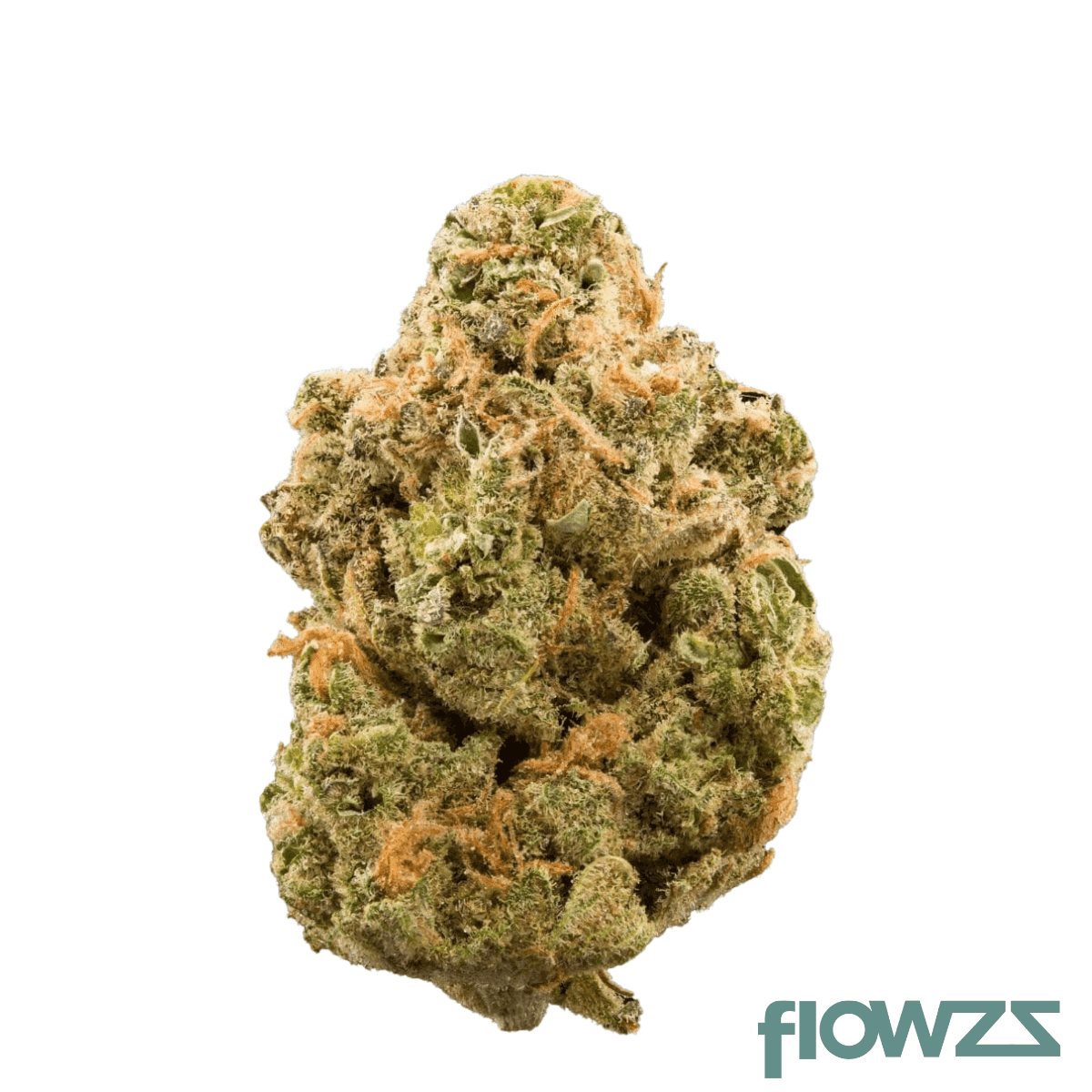 kosher-haze-flower
