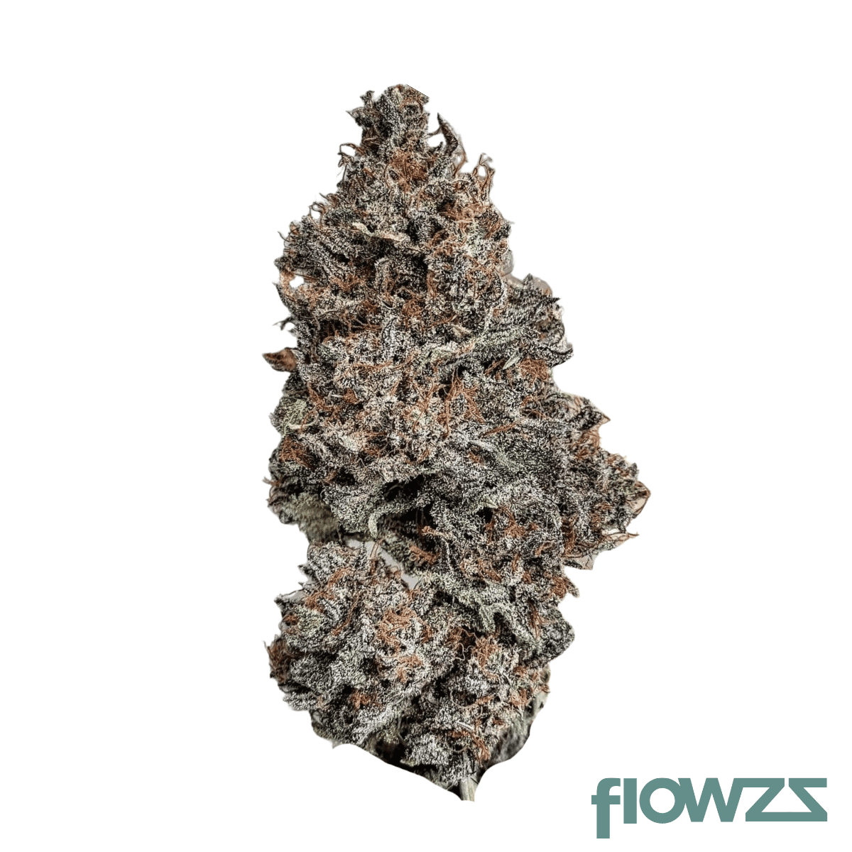 oceanic-bl-black-lavender