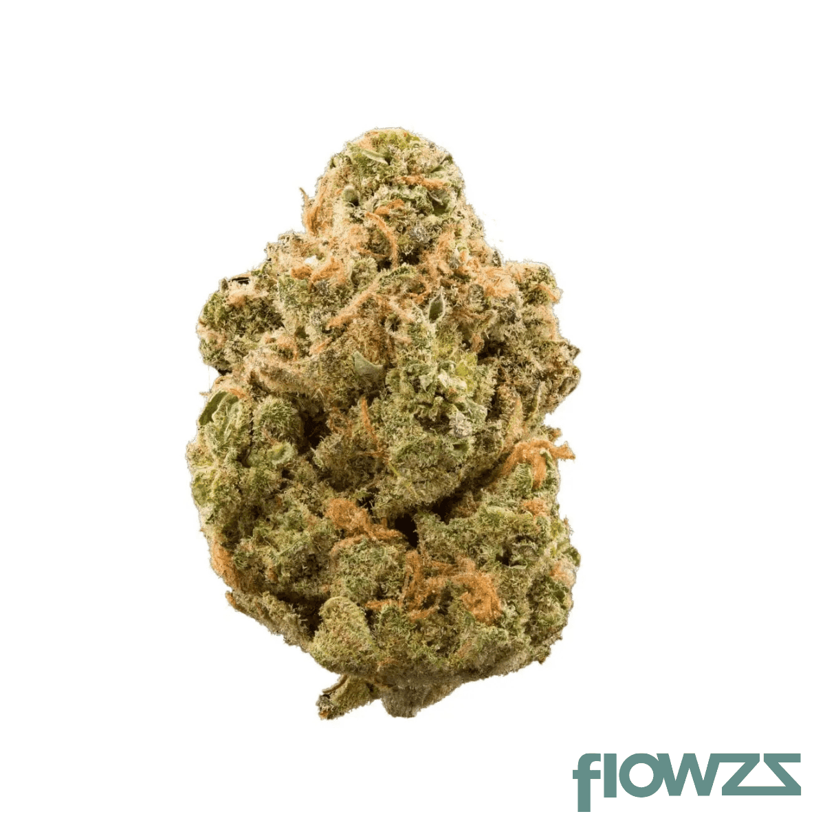 bathera-23-1-ds-dank-sinatra