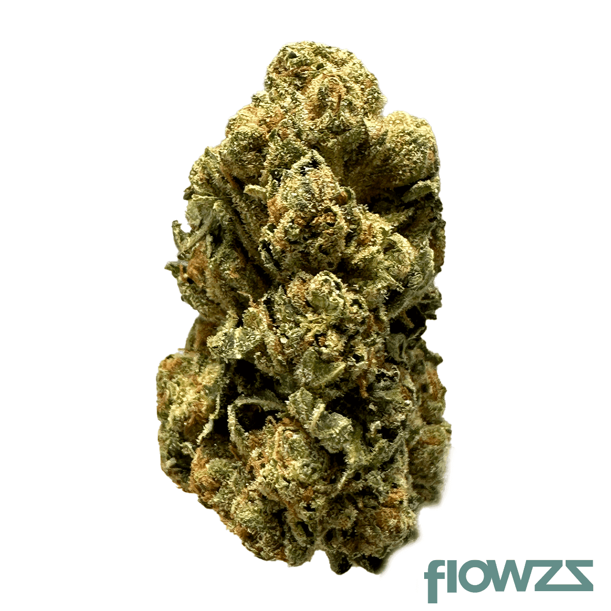 mediprocan-lunaris-19-1-motor-breath