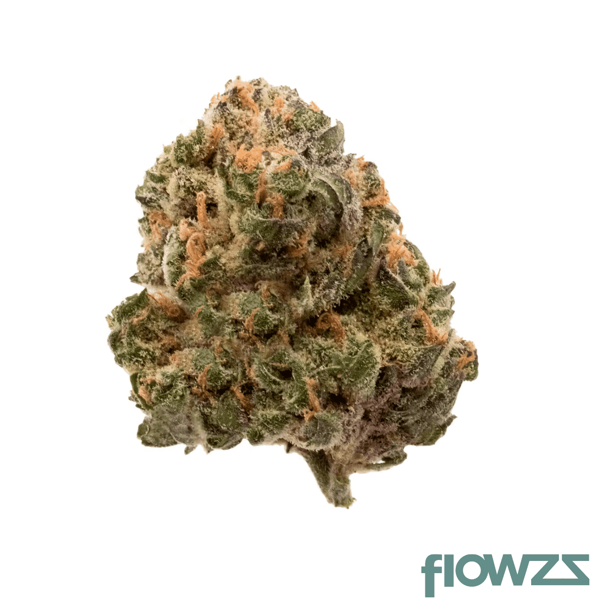 jr-strain-gt-25-1-garlic-truffle