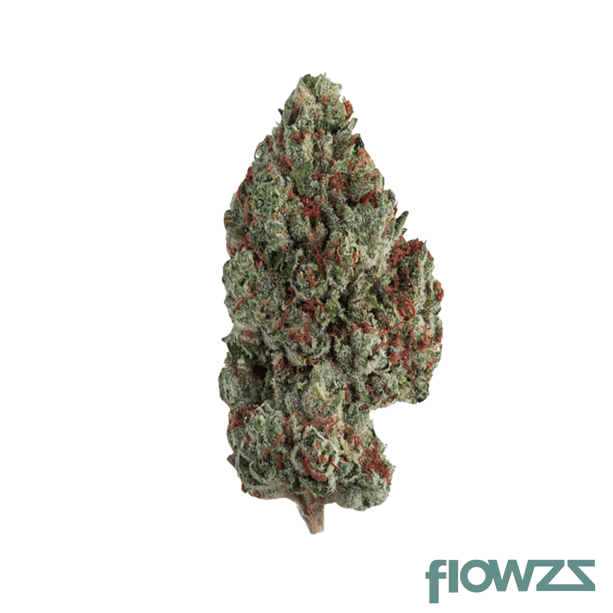 mgf-gm-26-1-grape-mintz