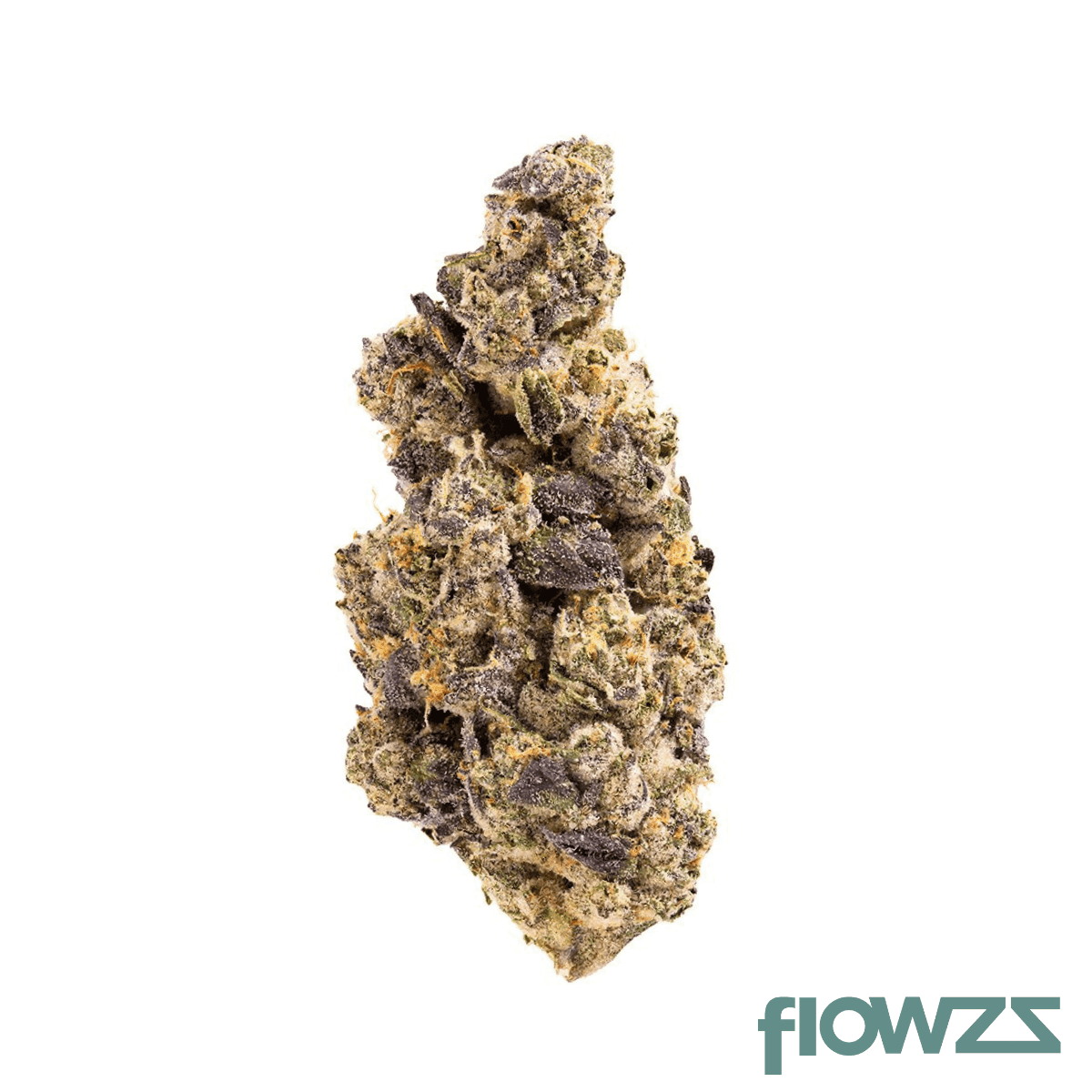 oshelf-medical-s1e1-27-flawless-victory