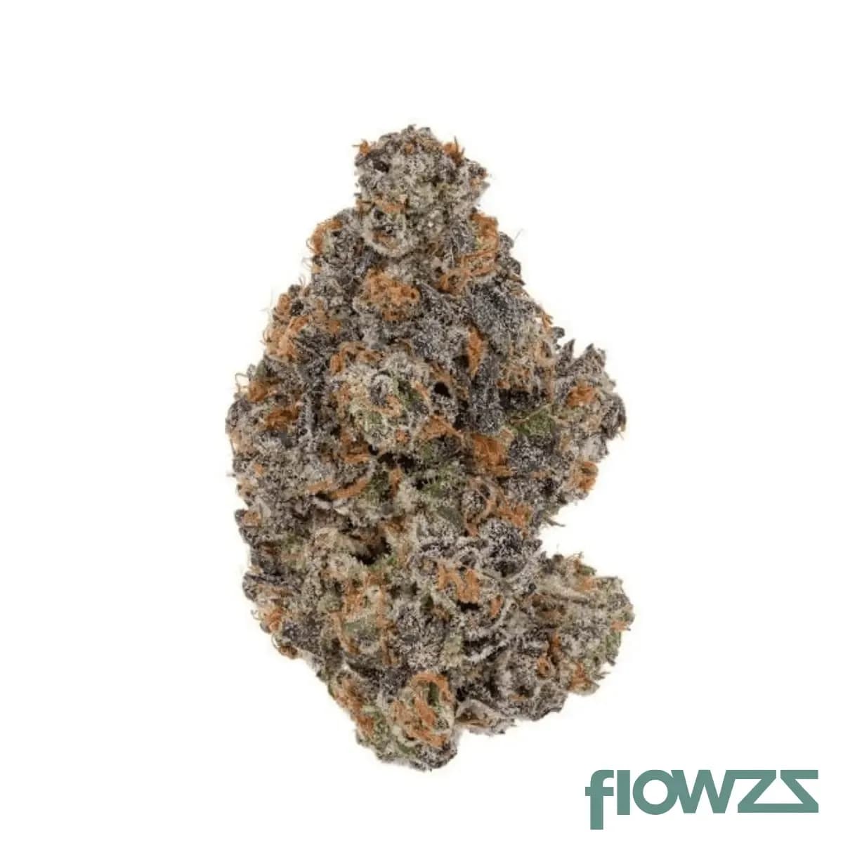 remexian-25-1-gfr-godfather-og-schroll