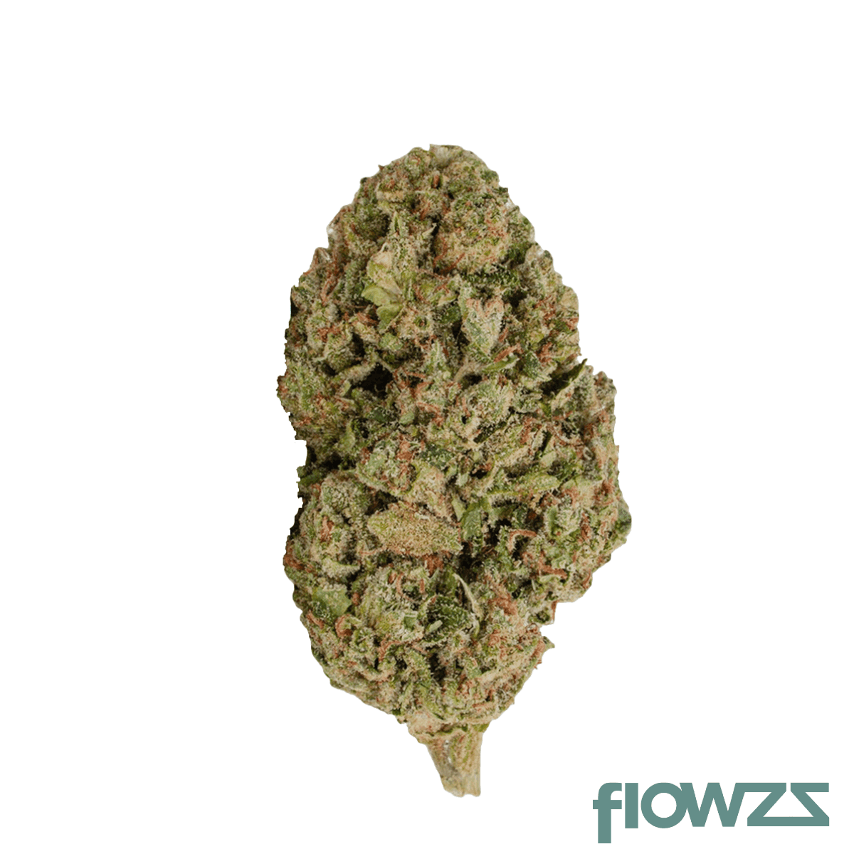 pretty-smalls-bsc-21-1-biscotti