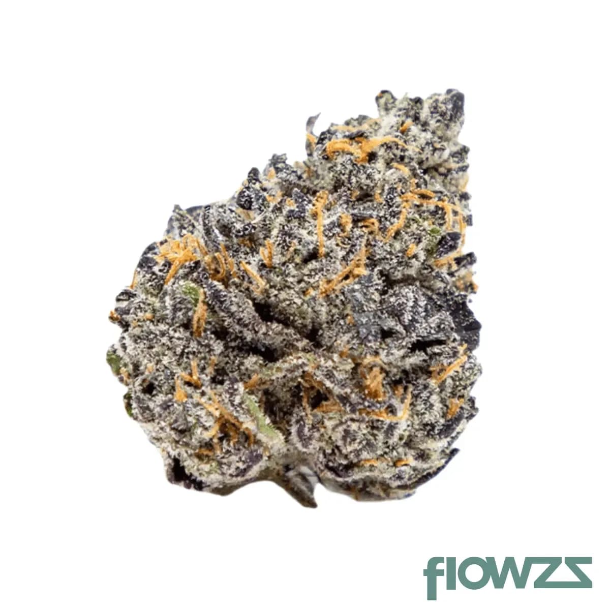 bathera-25-1-velvet-glove