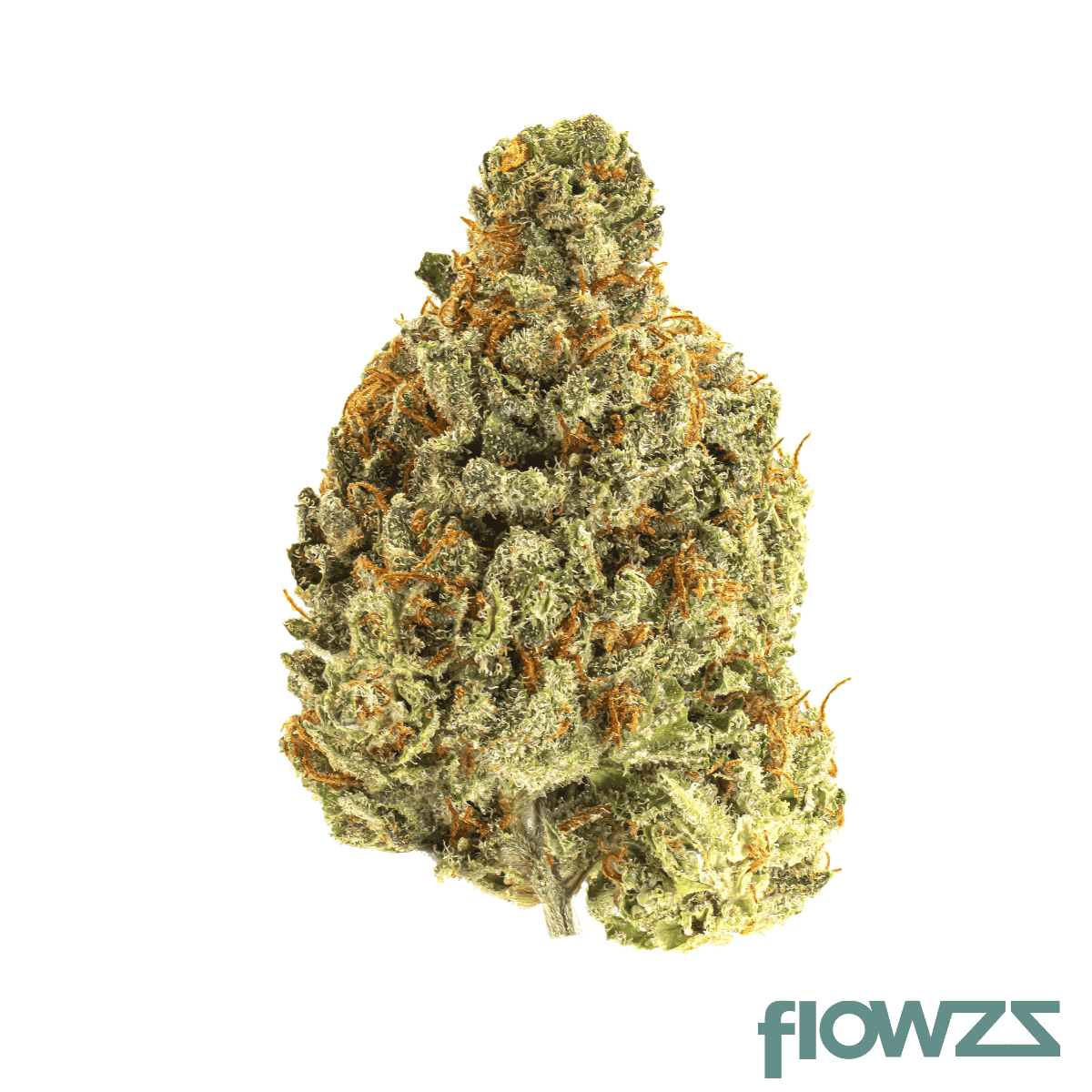 sibanax-crescendo-cookies-16-1