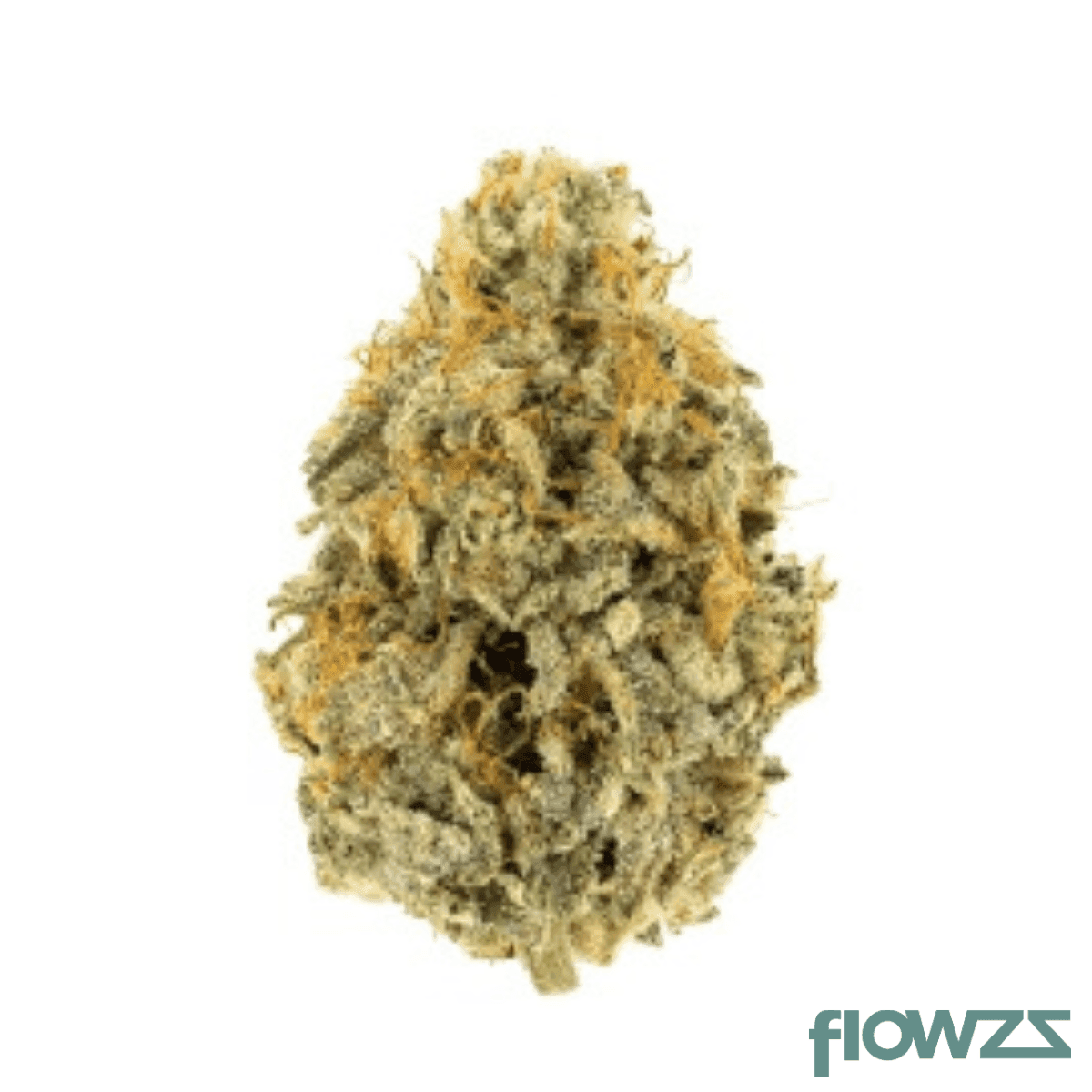 Buuo 24/1 DC Cookies & Cream