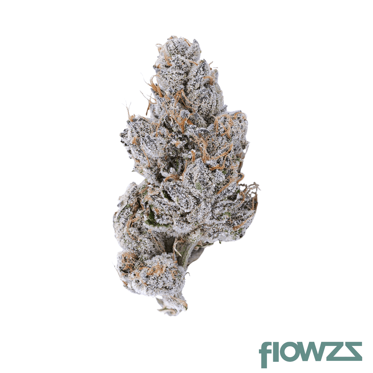 social-choice-12-1-gro-do-si-dos