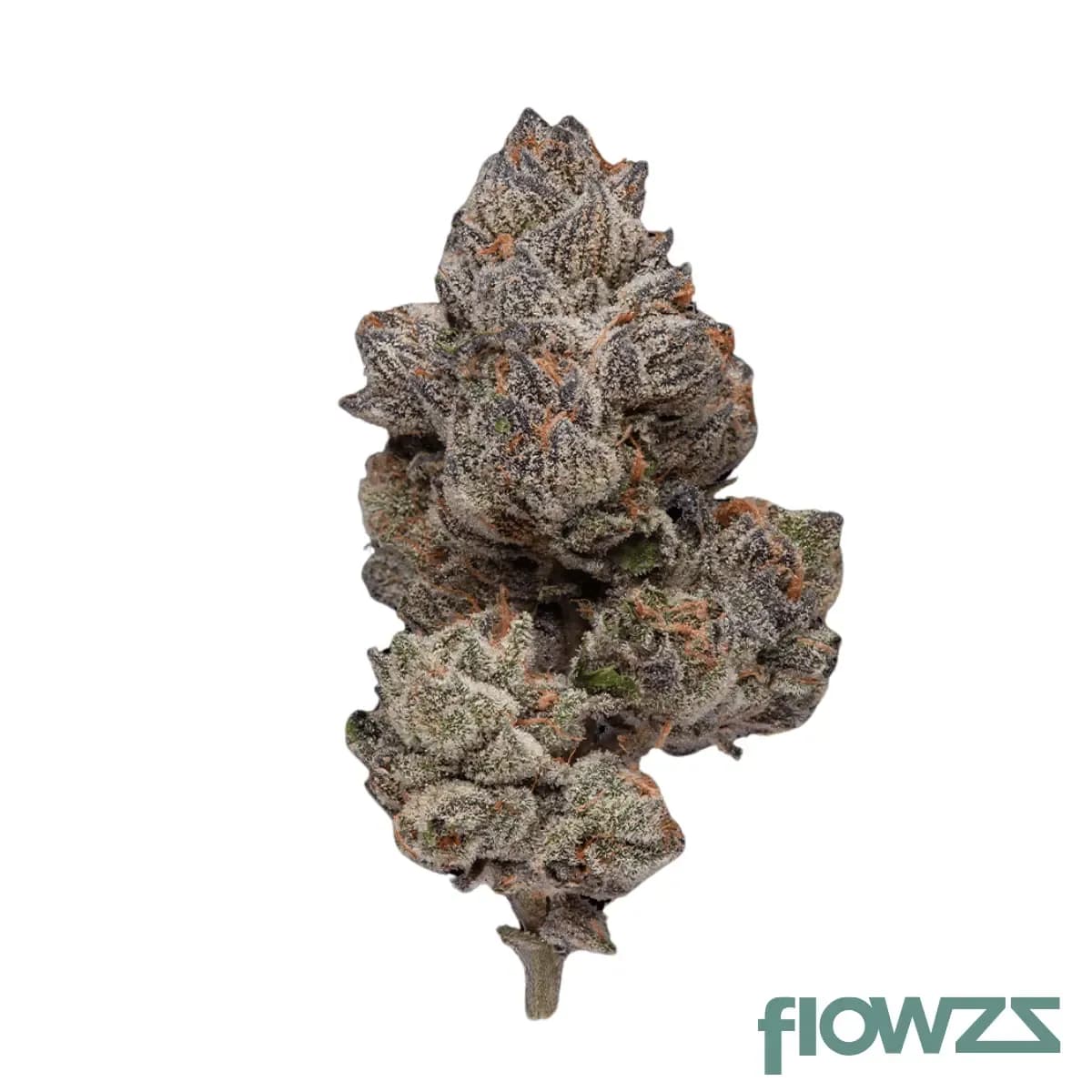 mgf-pc-22-1-apples-and-bananas