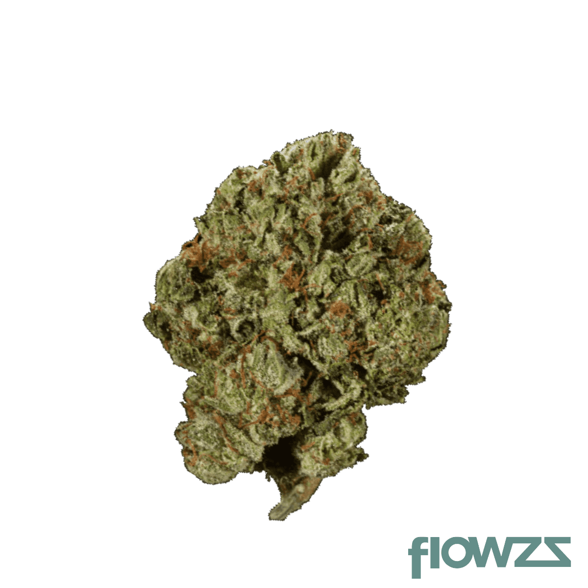 mv-rntz-detroit-runtz